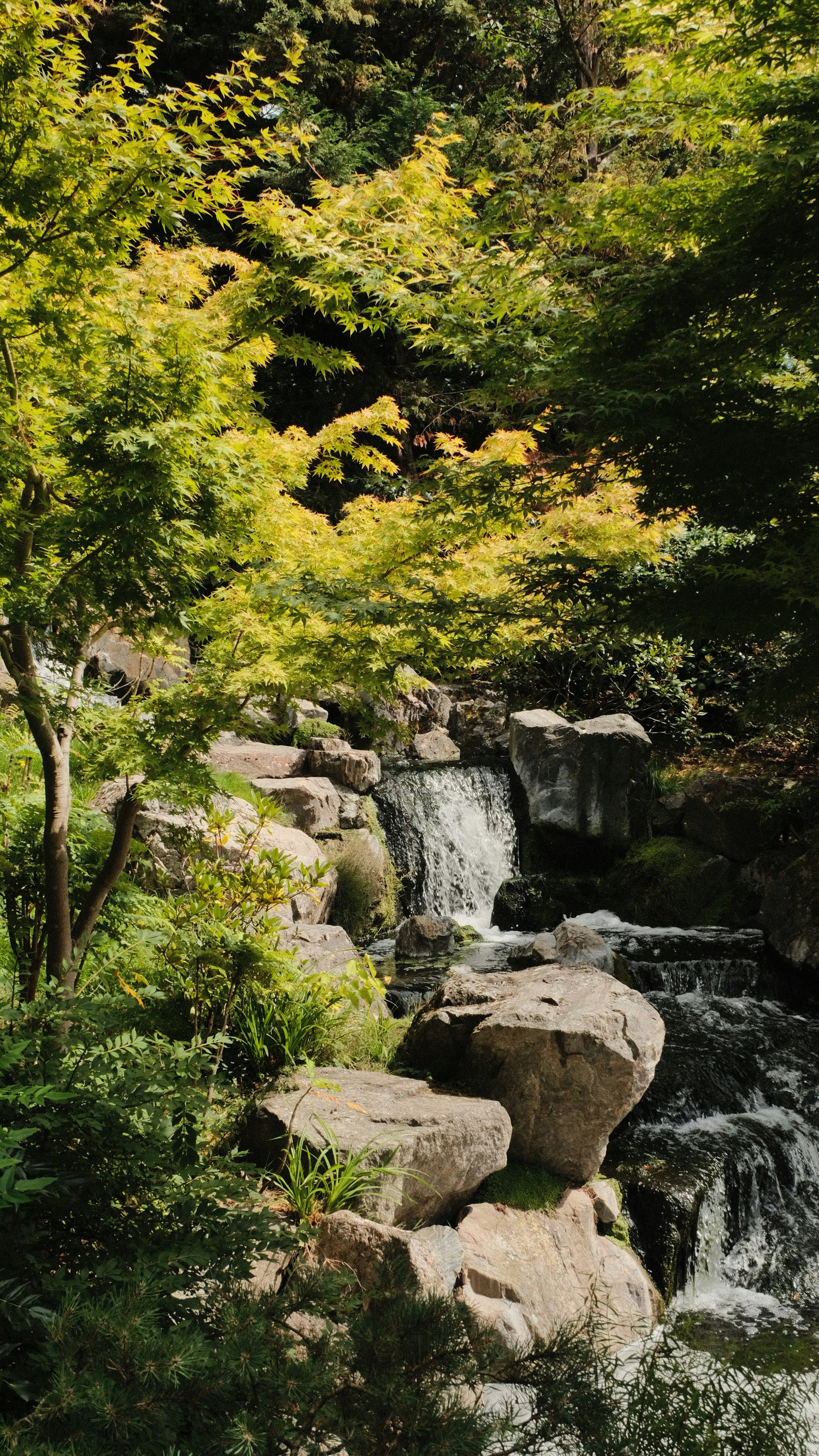 Photo by harrisunsdz