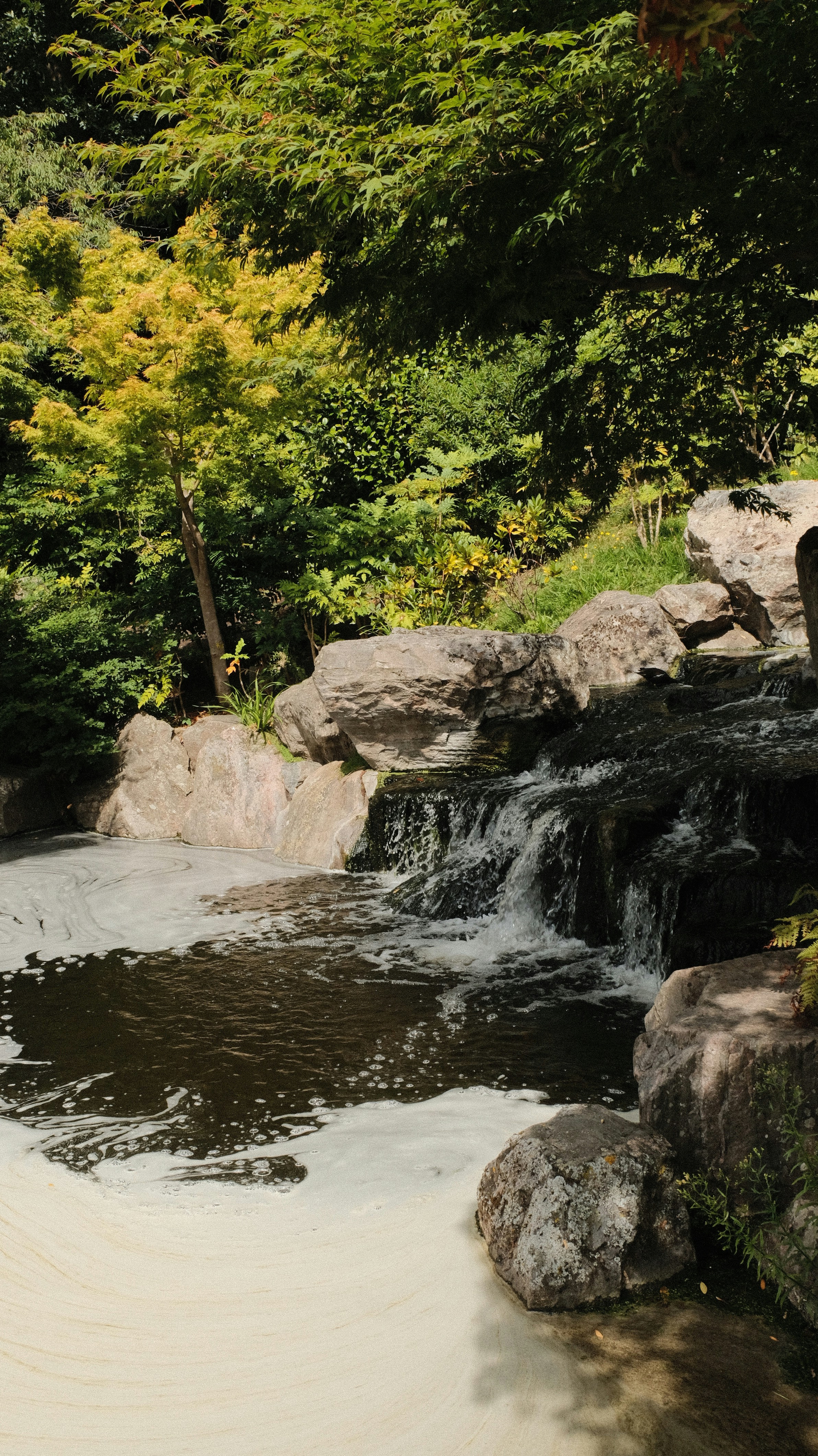 Photo by harrisunsdz