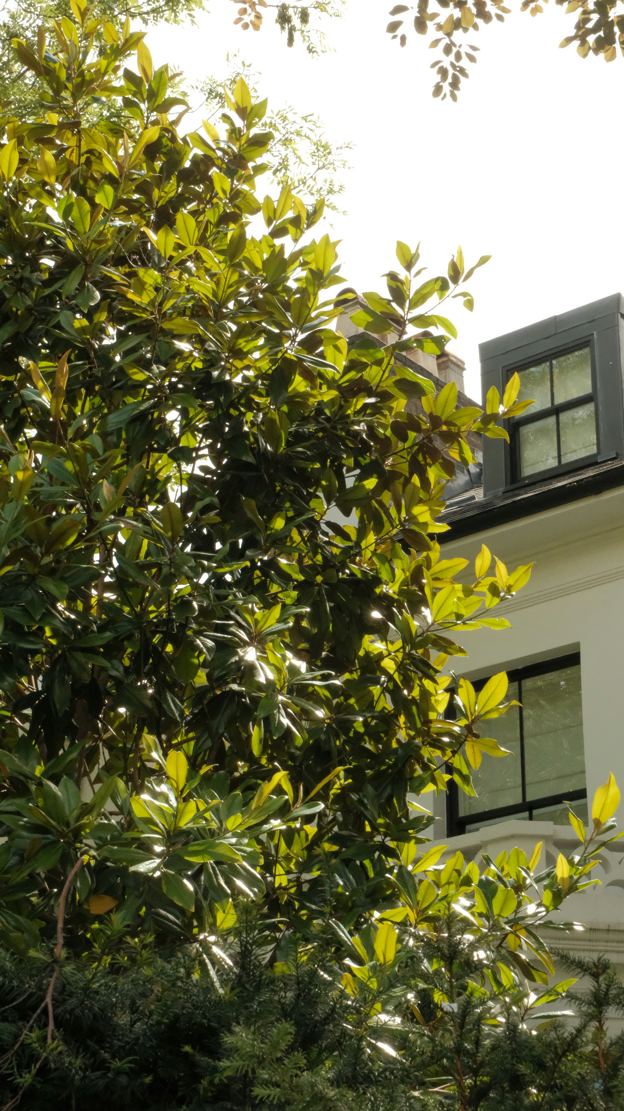 Photo by harrisunsdz