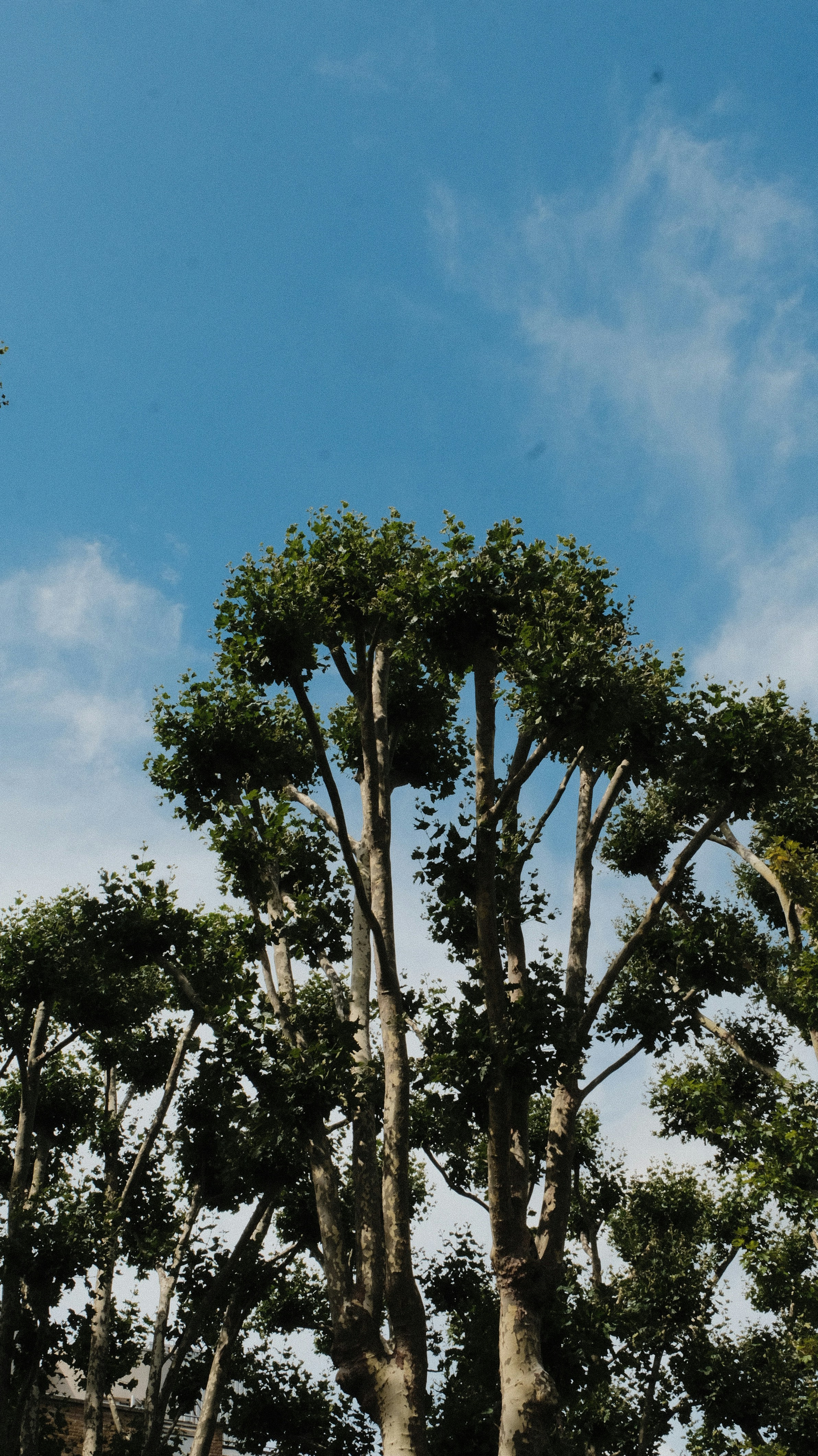 Photo by harrisunsdz