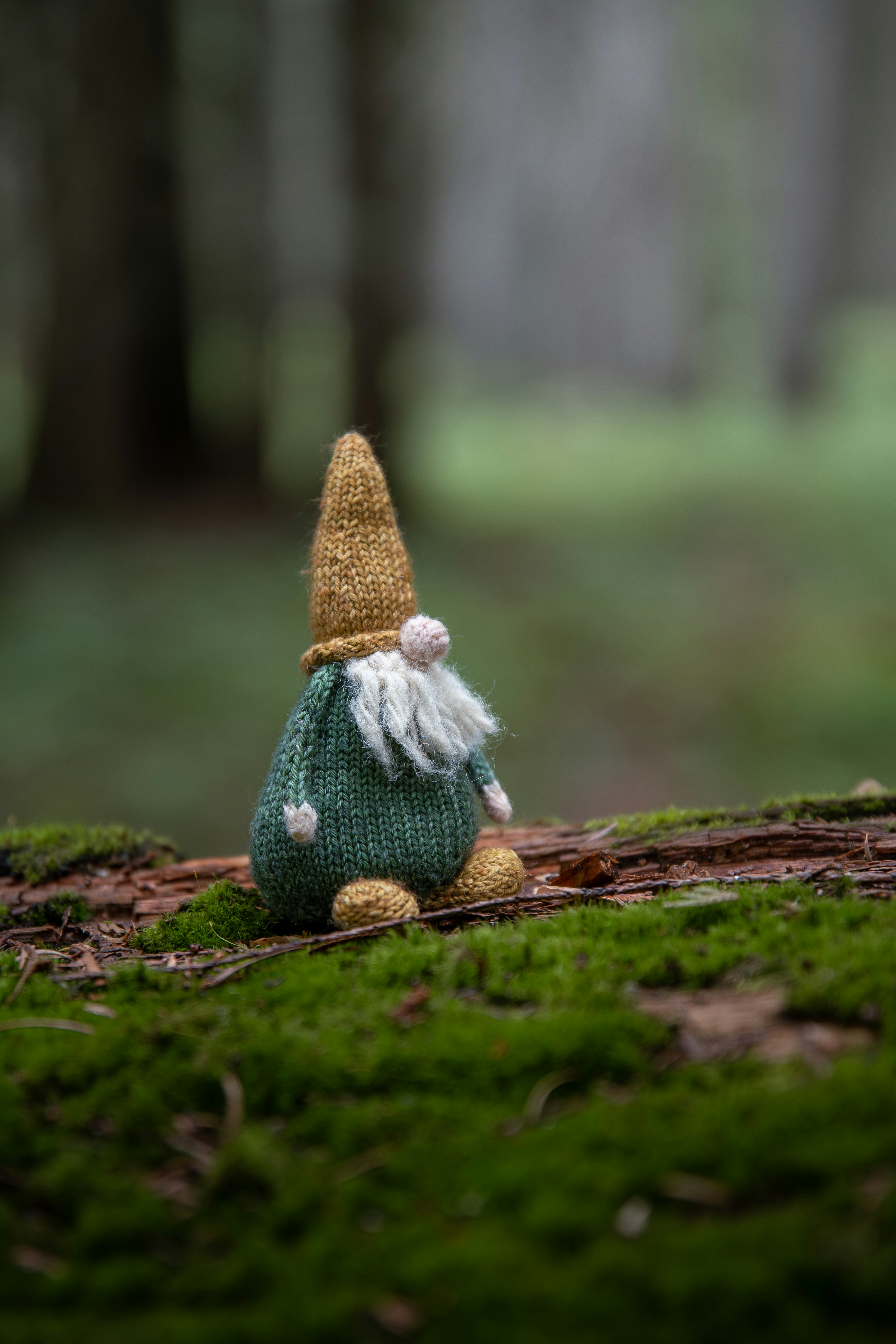 A knitted gnome sits on a mossy log.