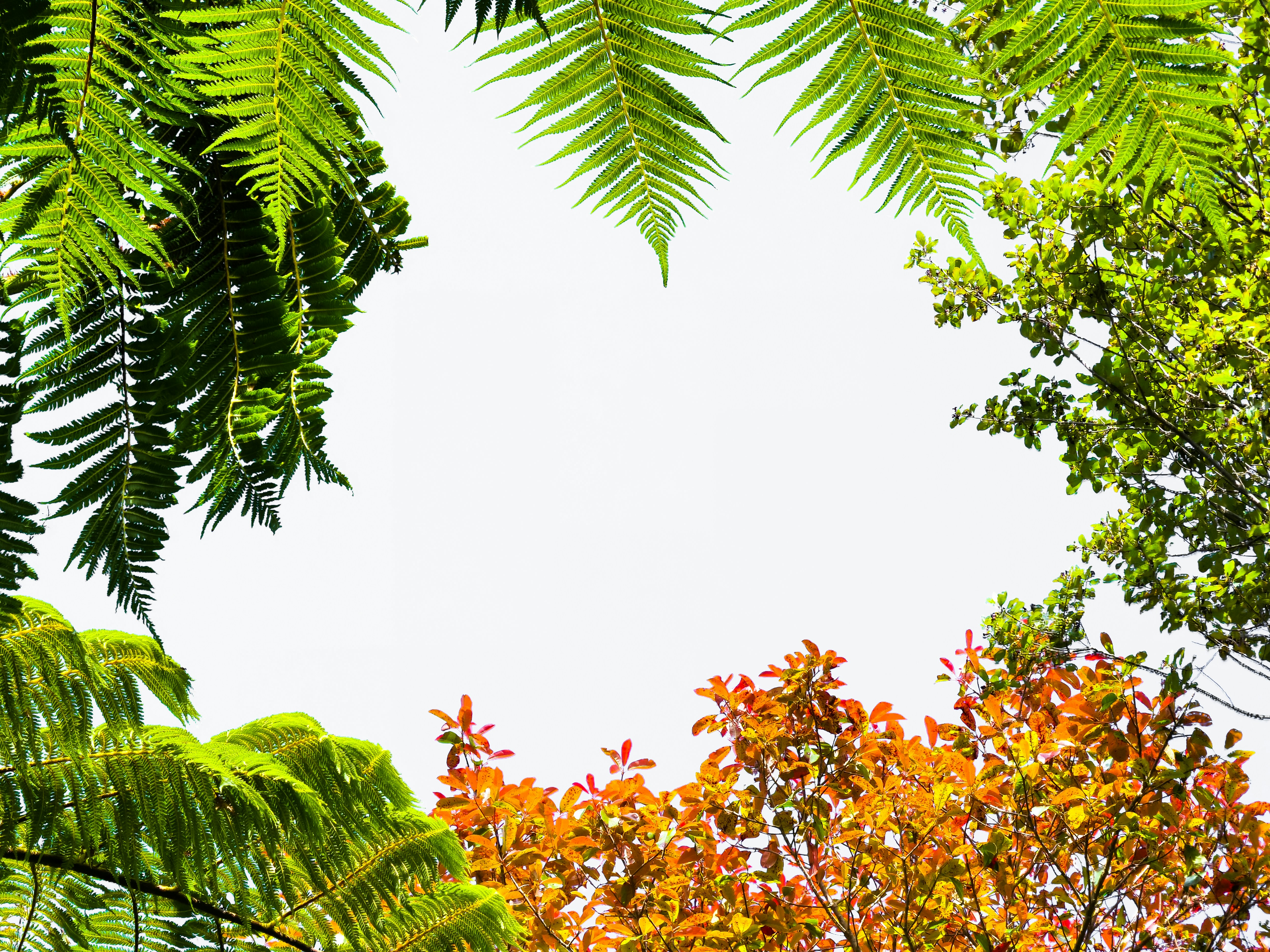 Photo by sschusterphotoart