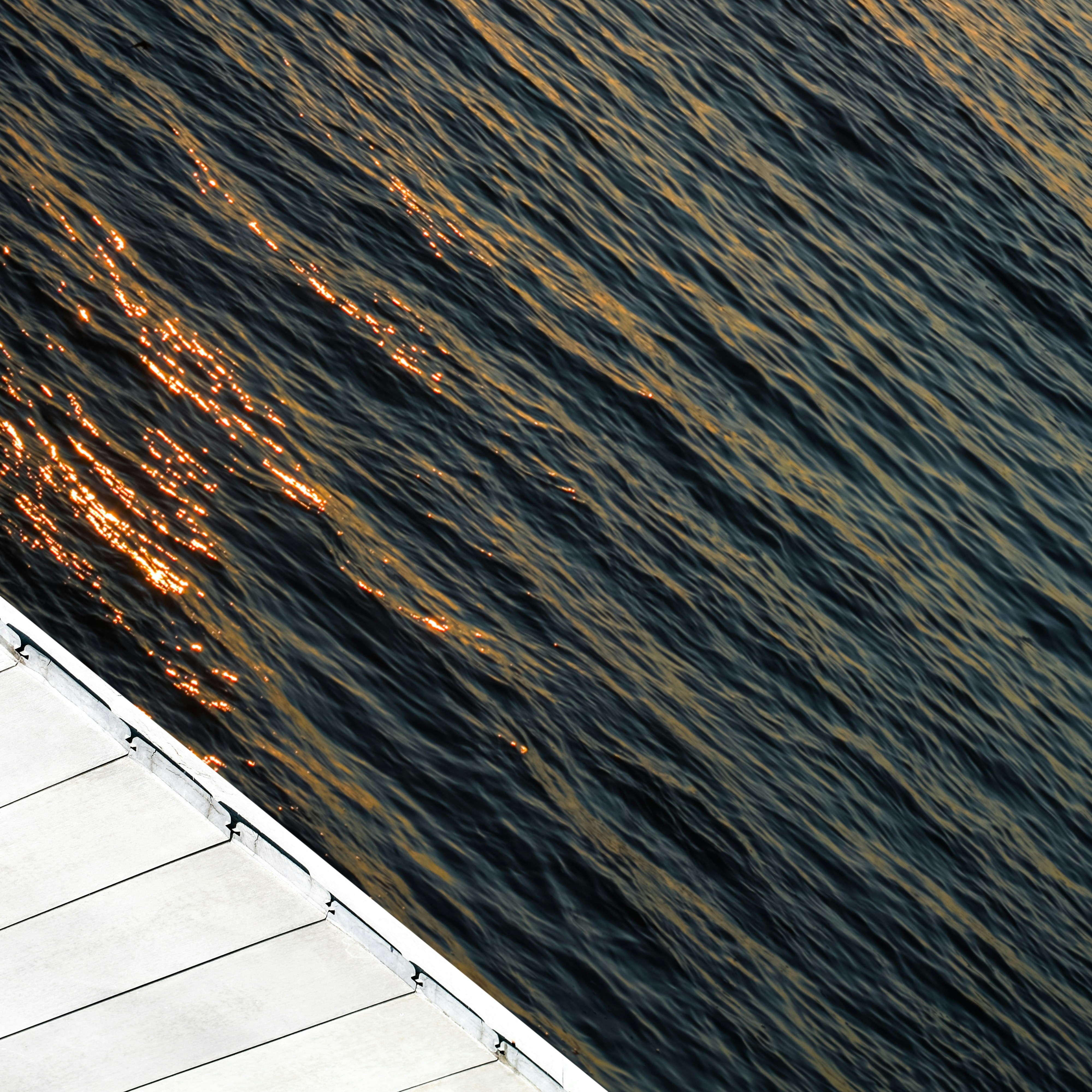 Photo by sschusterphotoart