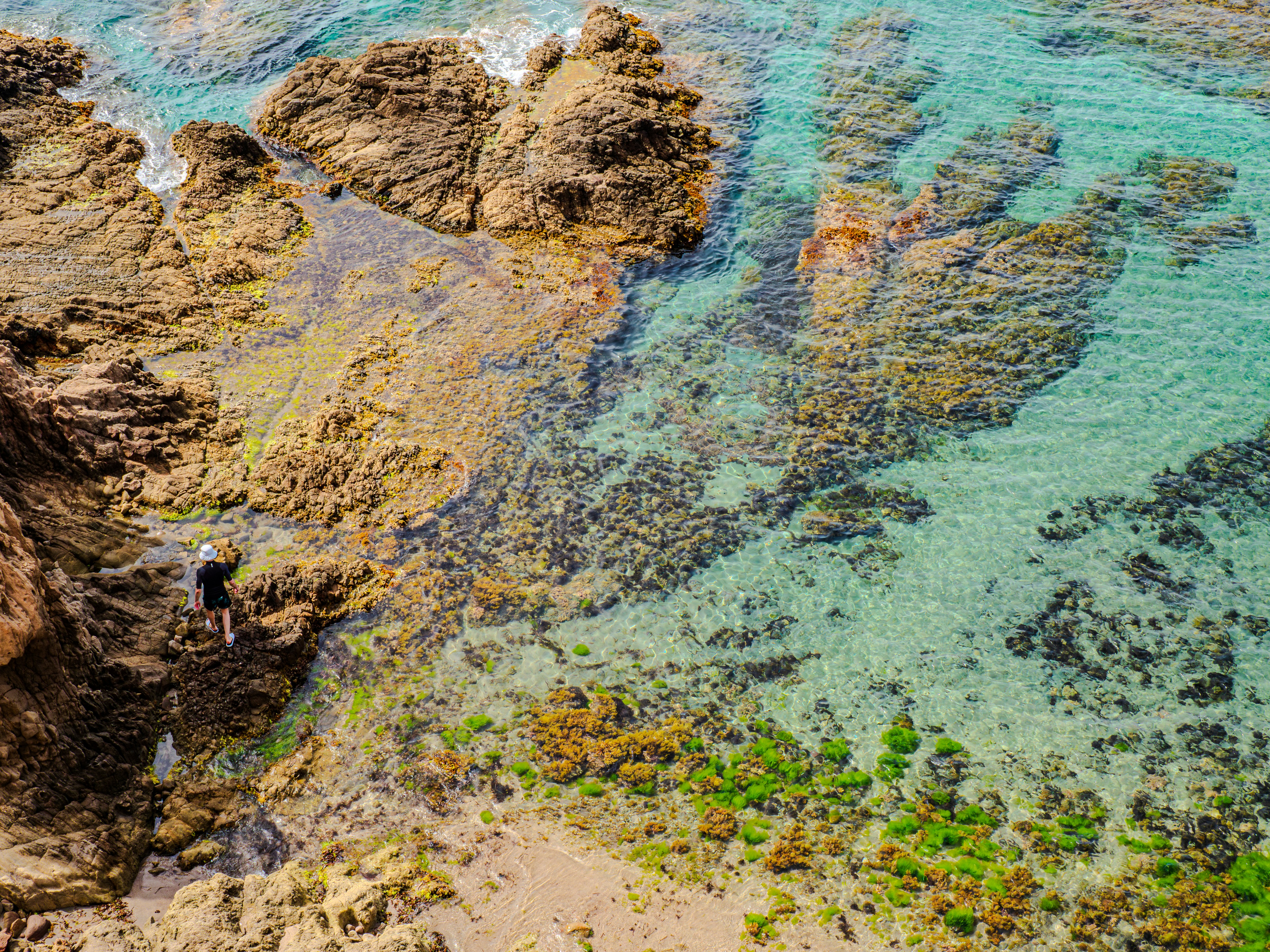 Photo by sschusterphotoart