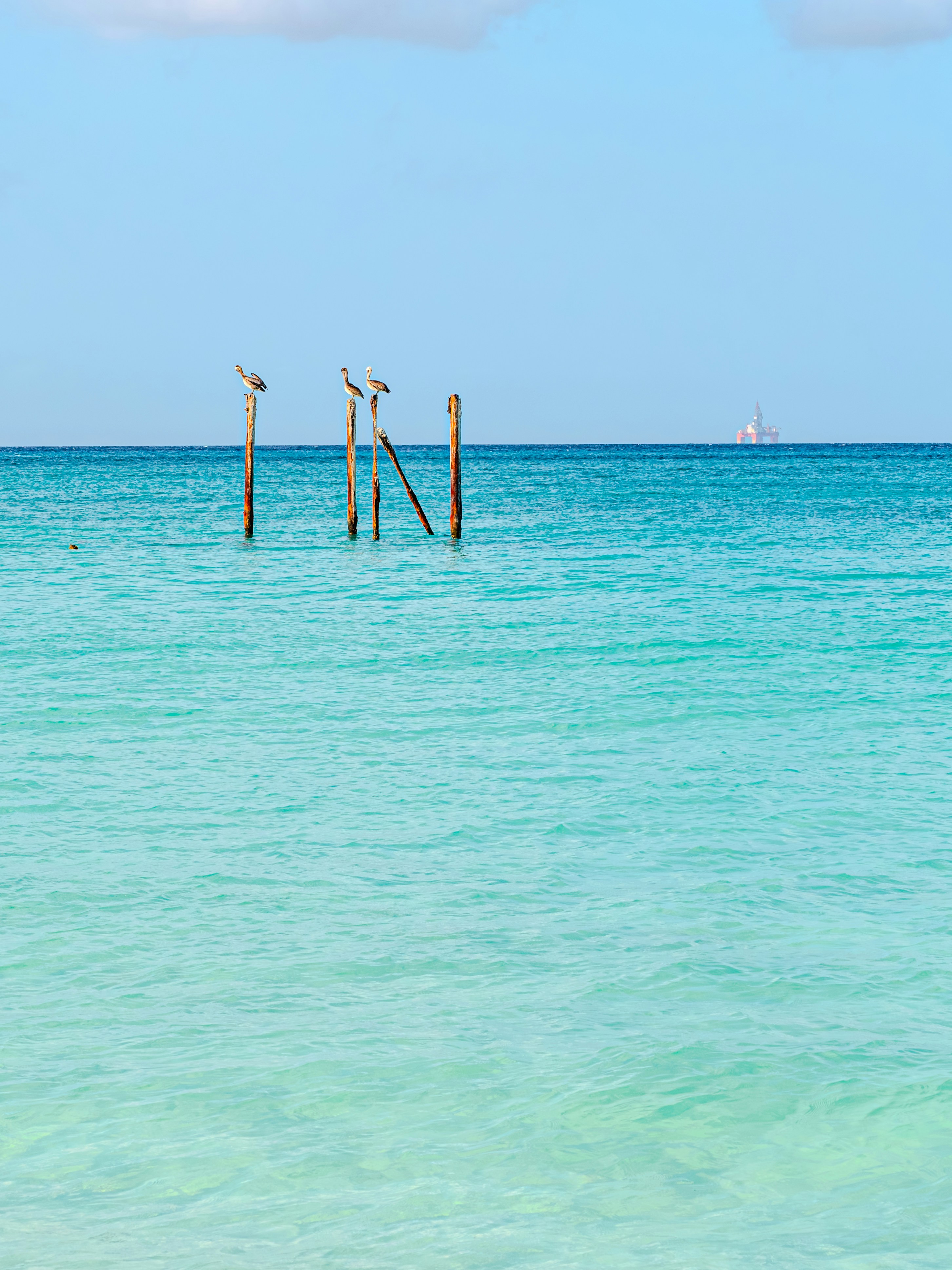 Photo by sschusterphotoart