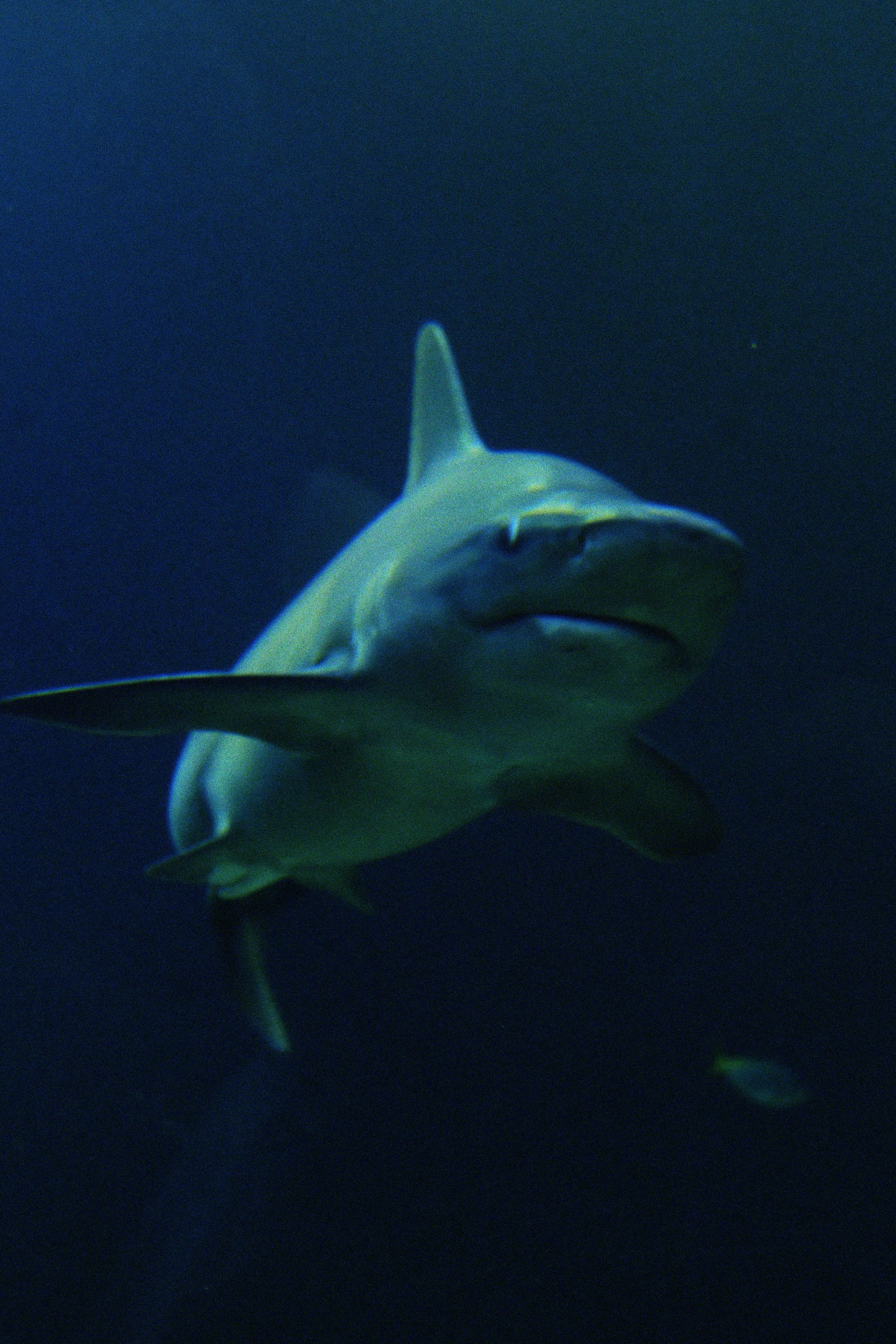 Photo by jadonjohnson