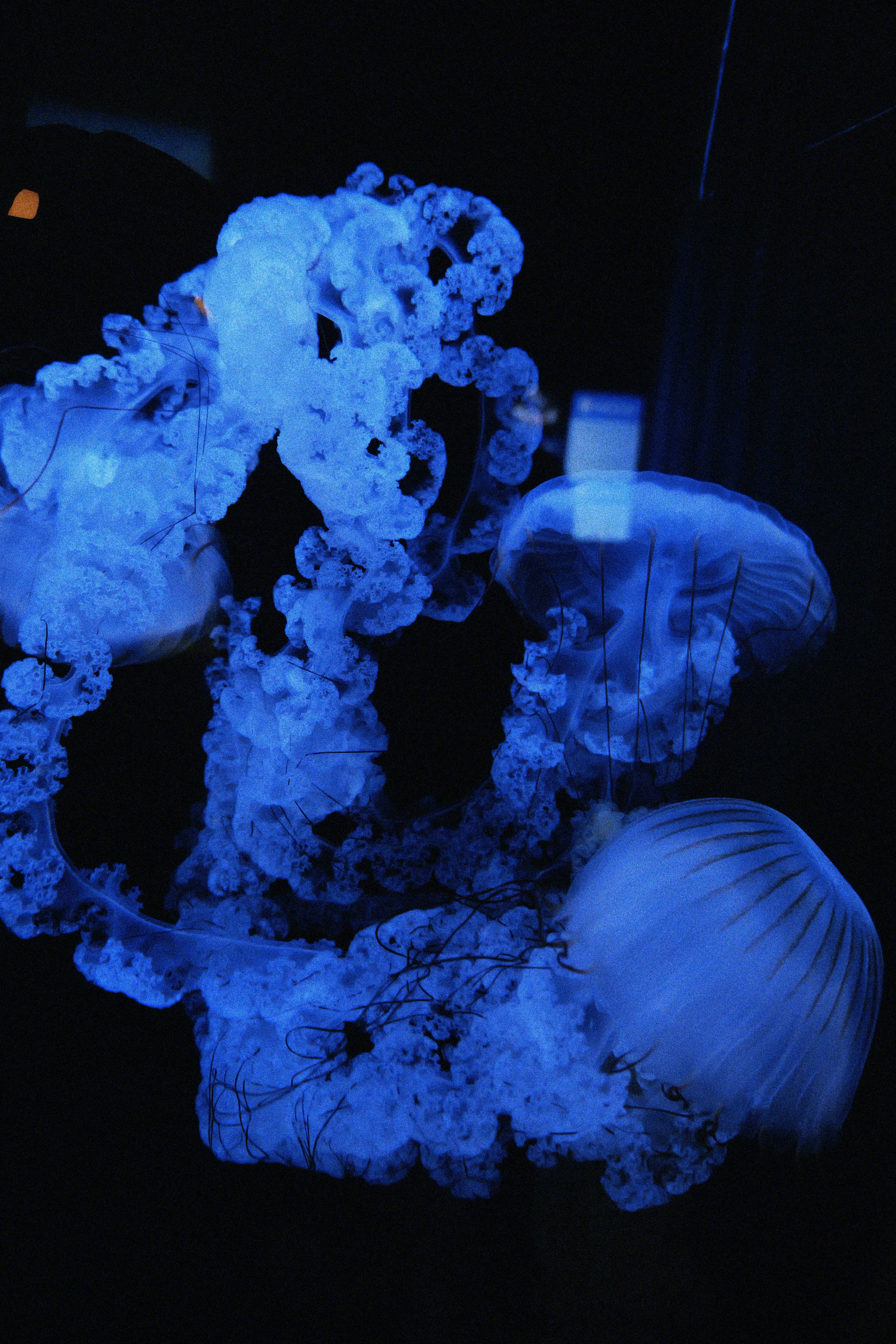 Photo by jadonjohnson