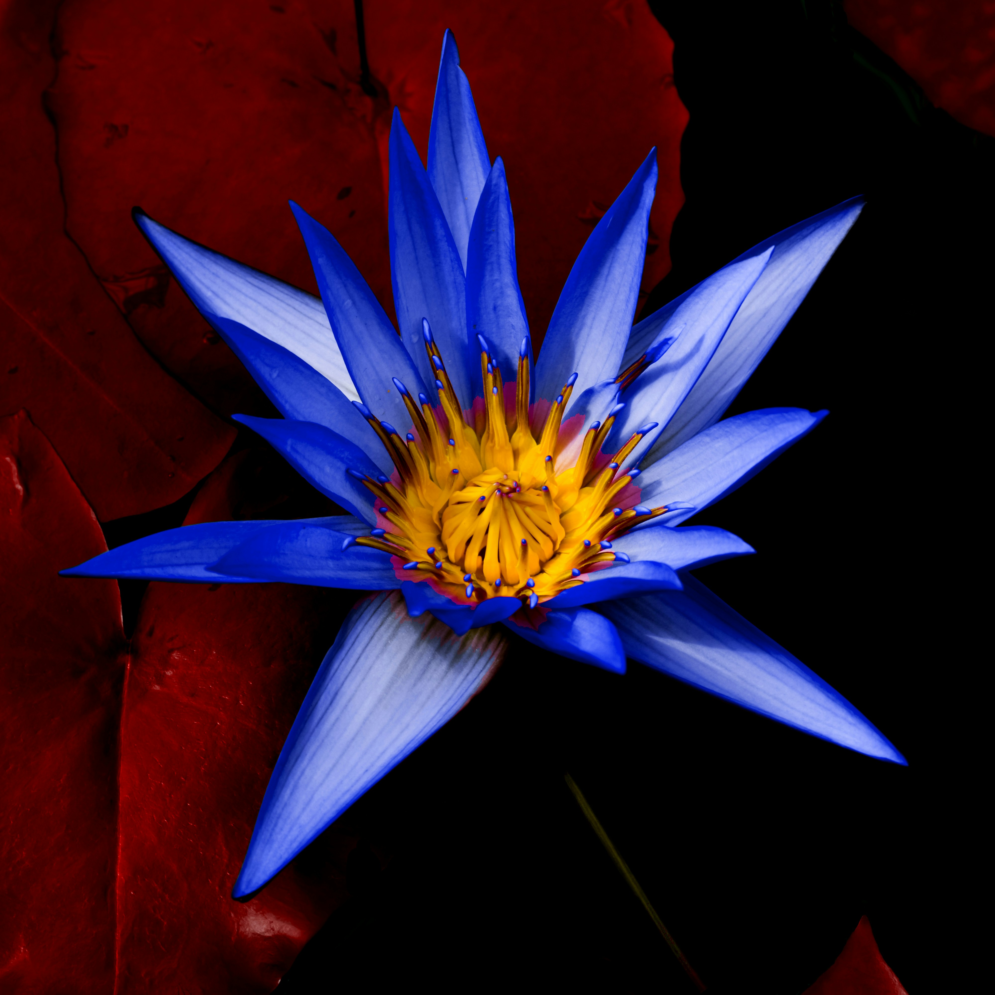 Photo by sschusterphotoart