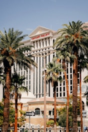 Caesars palace hotel with palm trees in las vegas
