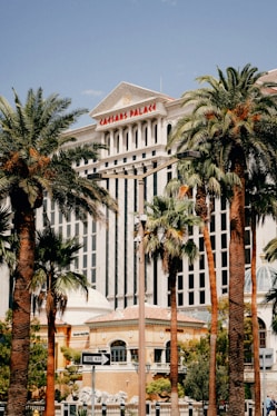 Caesars palace hotel with palm trees in las vegas