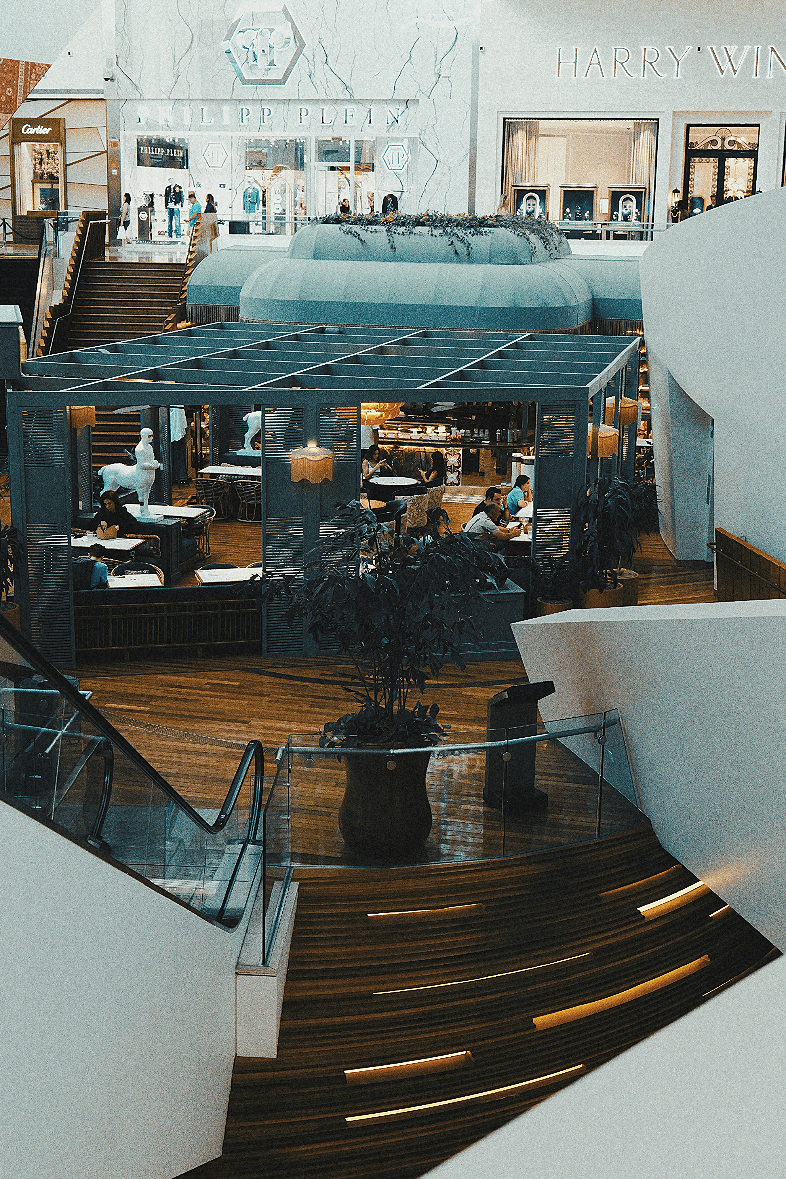 Photo by jadonjohnson