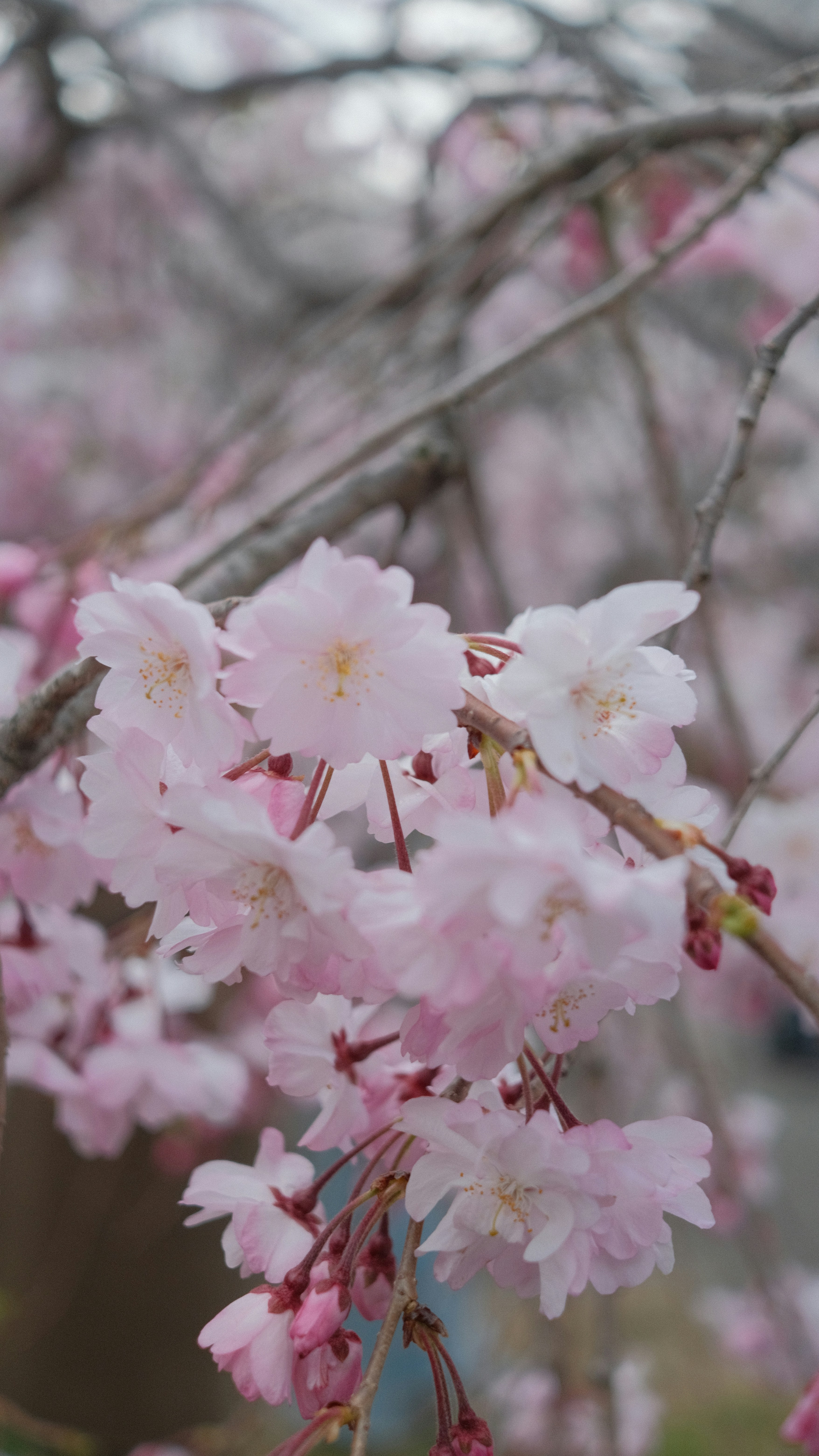 Photo by adamnavarro_