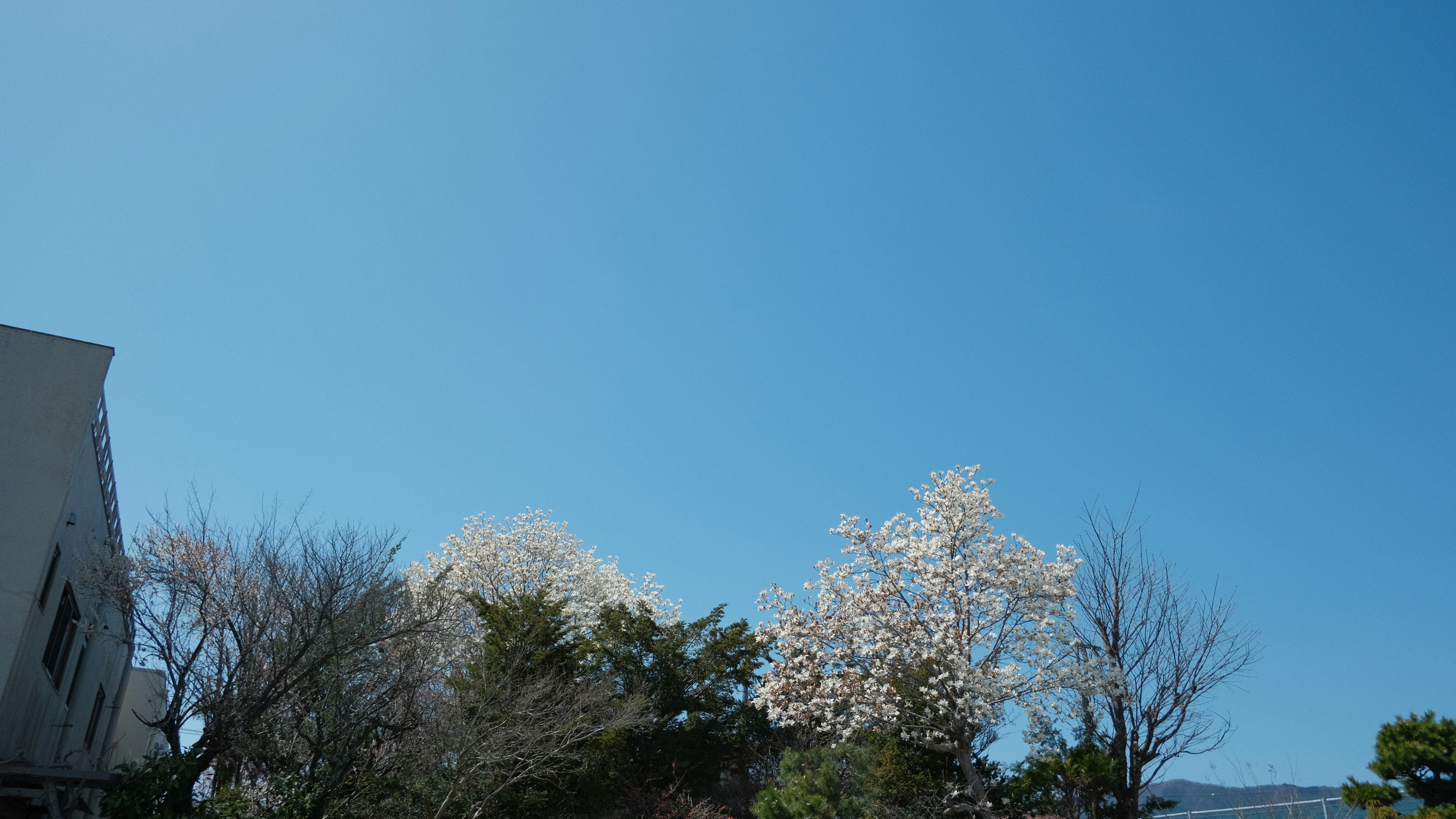 Photo by adamnavarro_