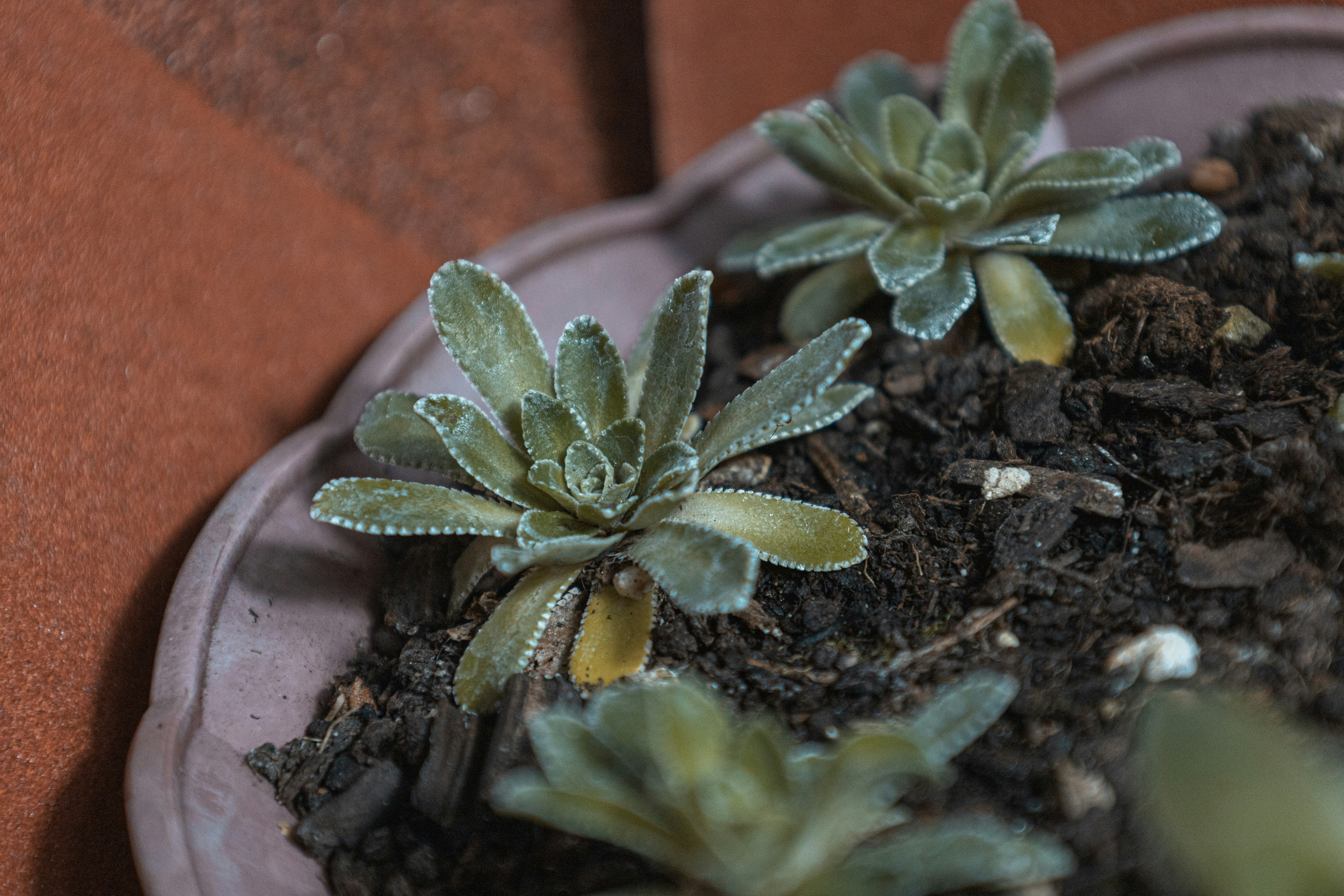 Photo by doeringphotograpy