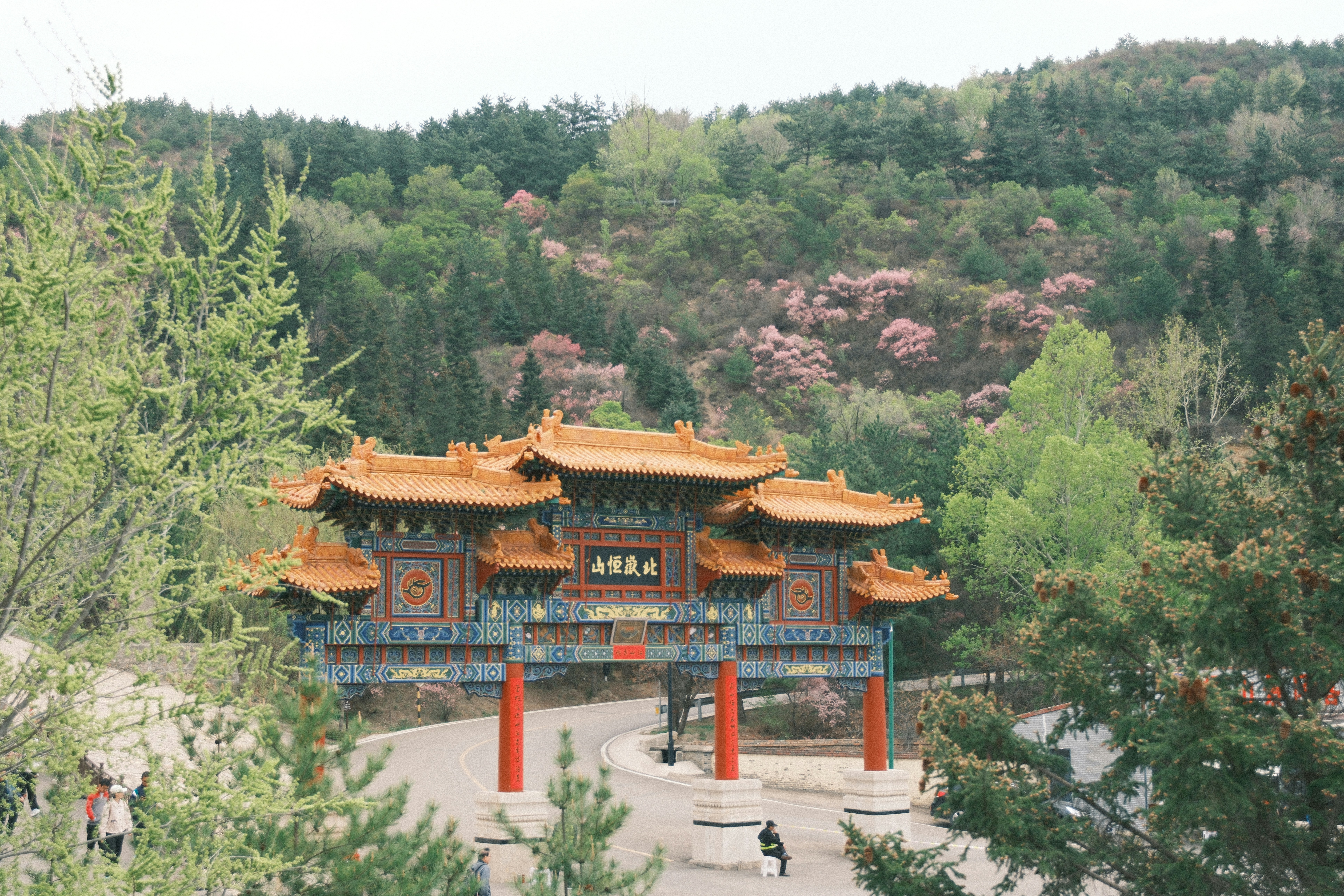 Photo by zhanwangpan