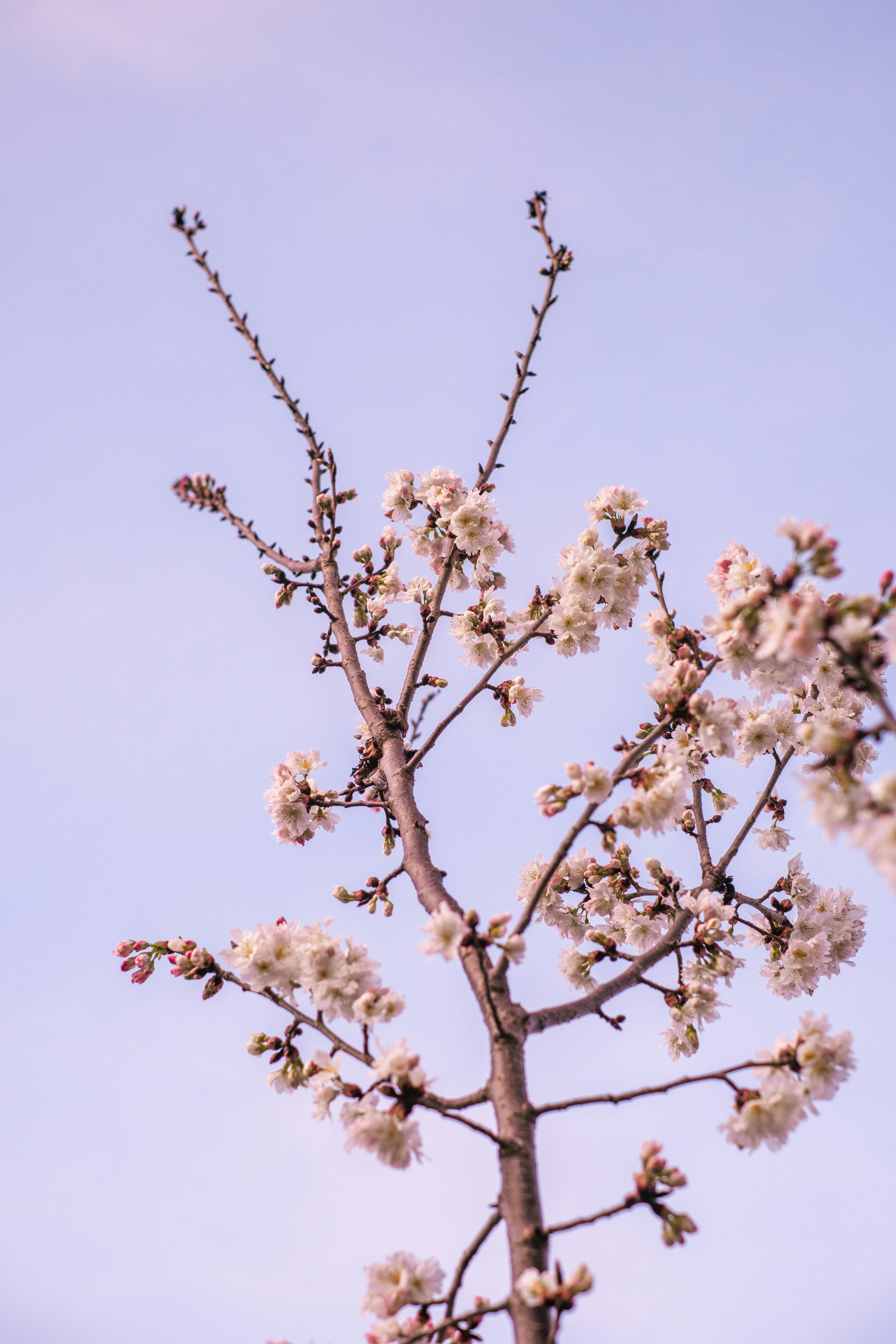 Photo by raegocreative