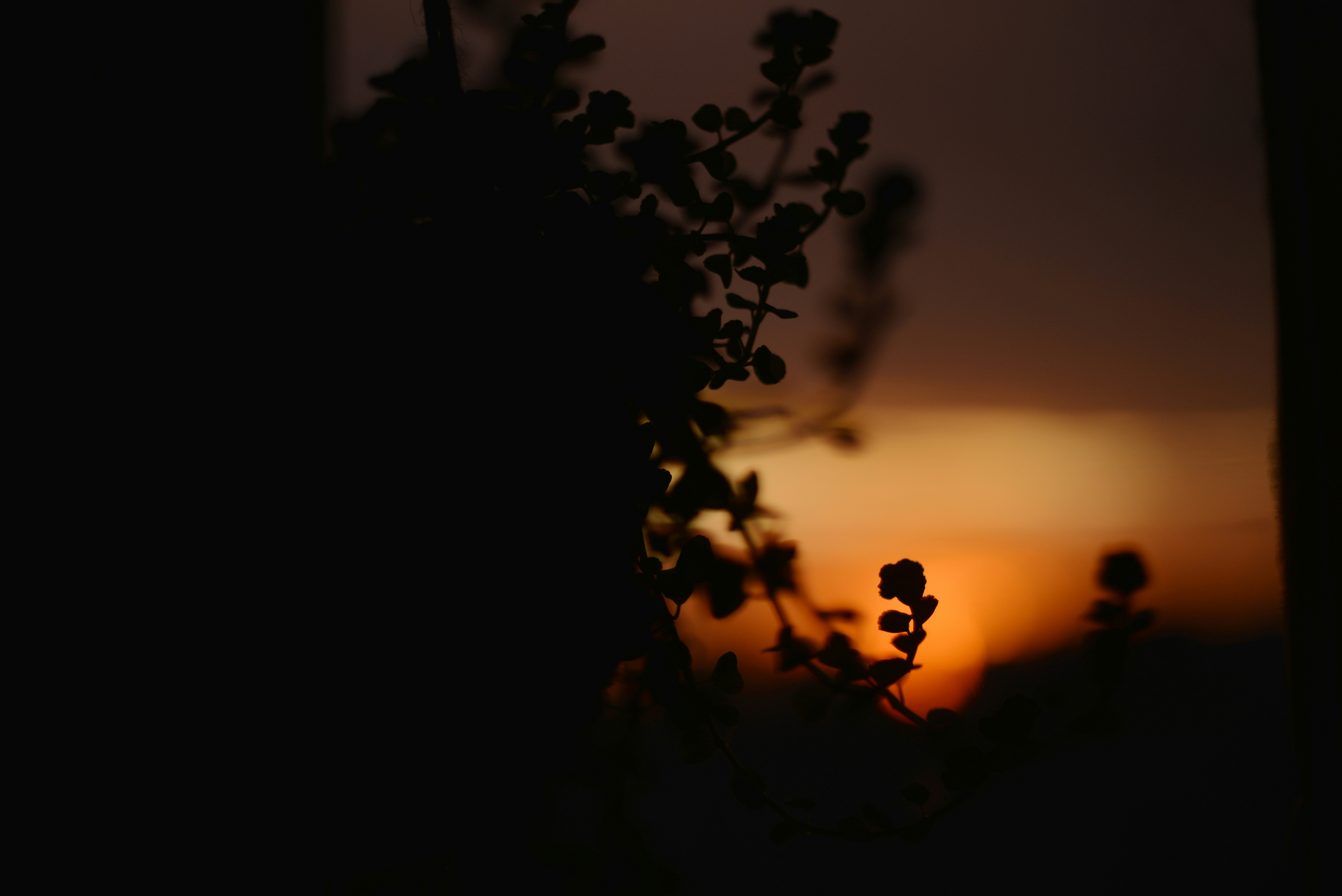 Photo by cherstve_pechivo