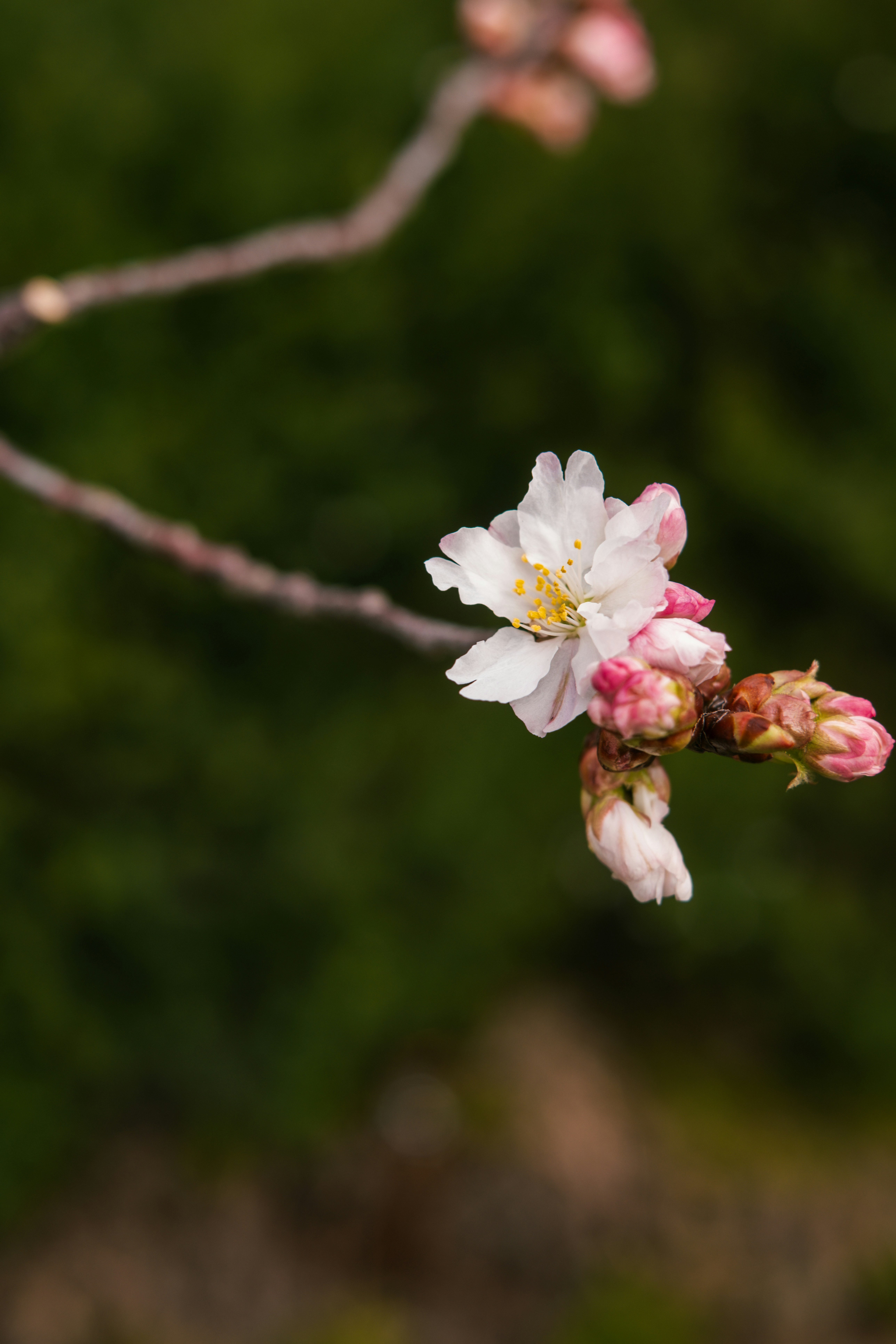 Photo by raegocreative