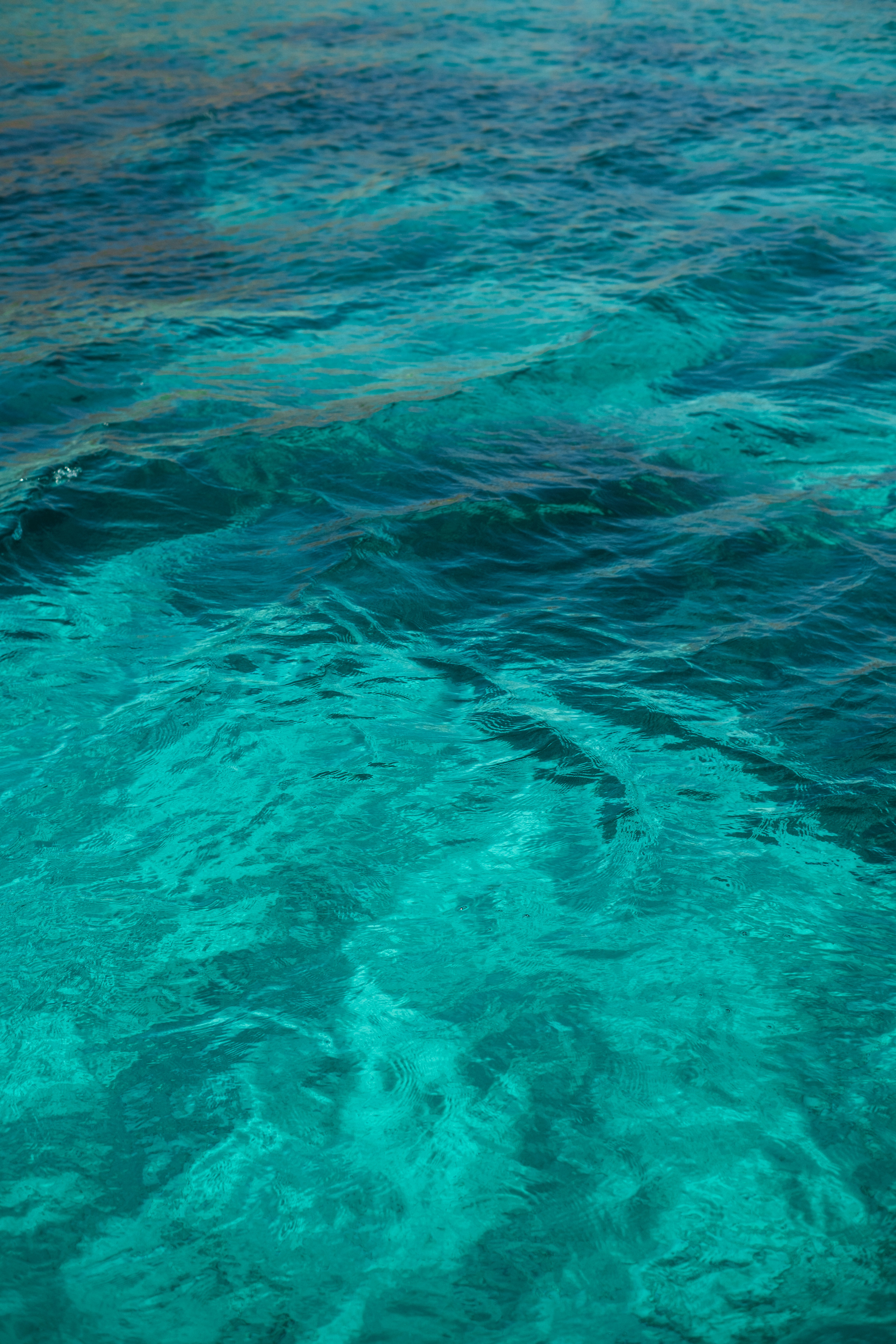 Photo by raegocreative