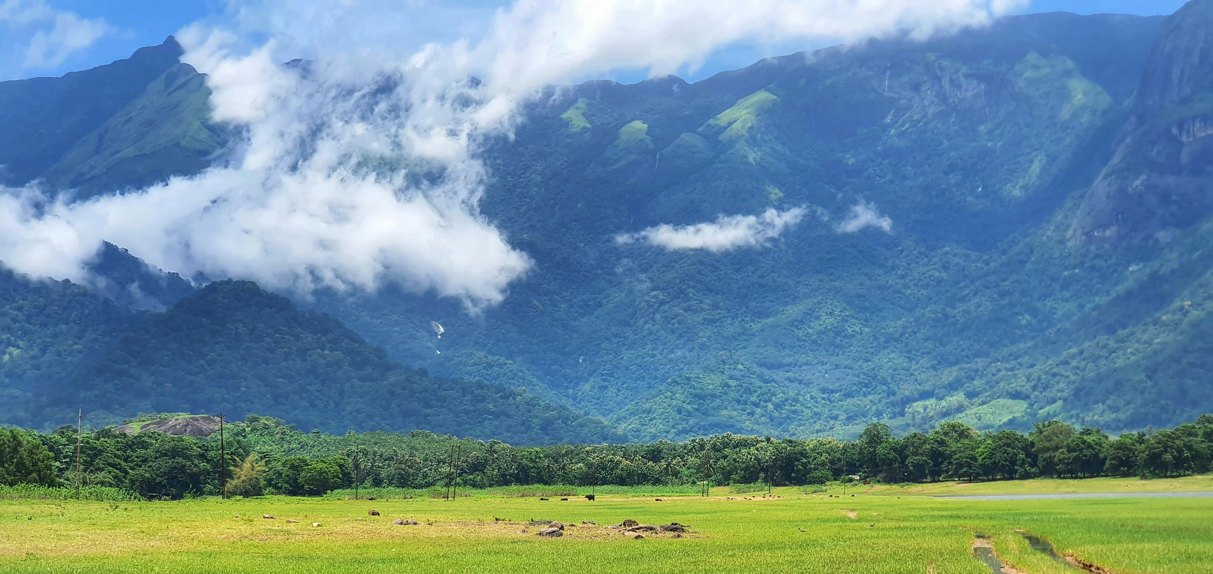 Photo by pavilionphotography