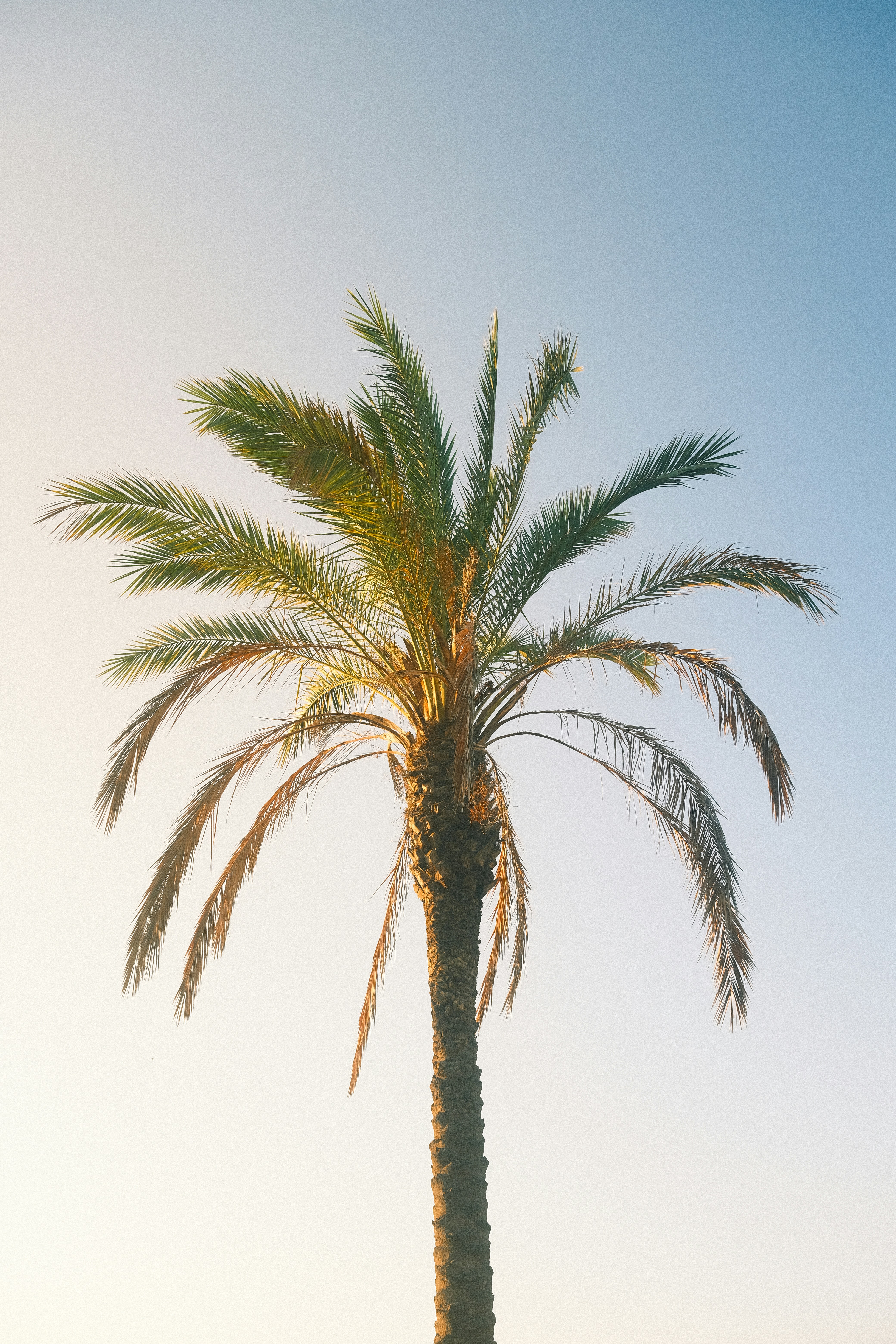 Photo by visualsbying