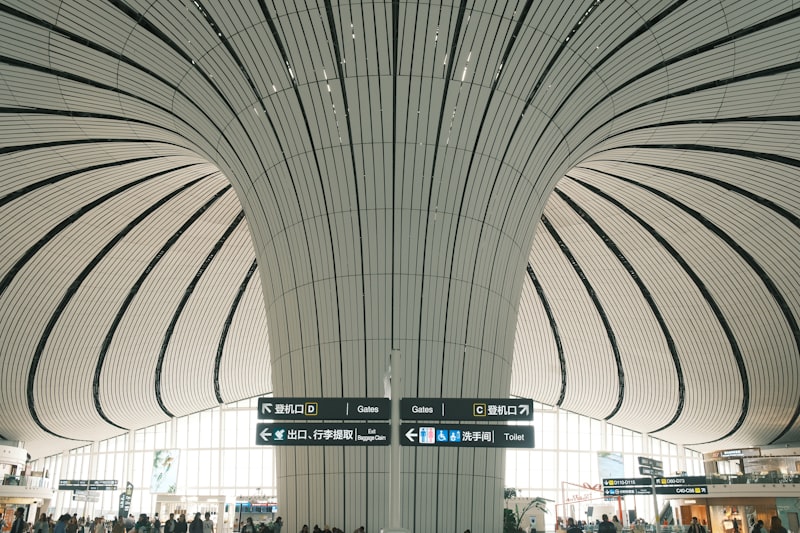 Beijing airport taxi waiting area with official taxi signs visible