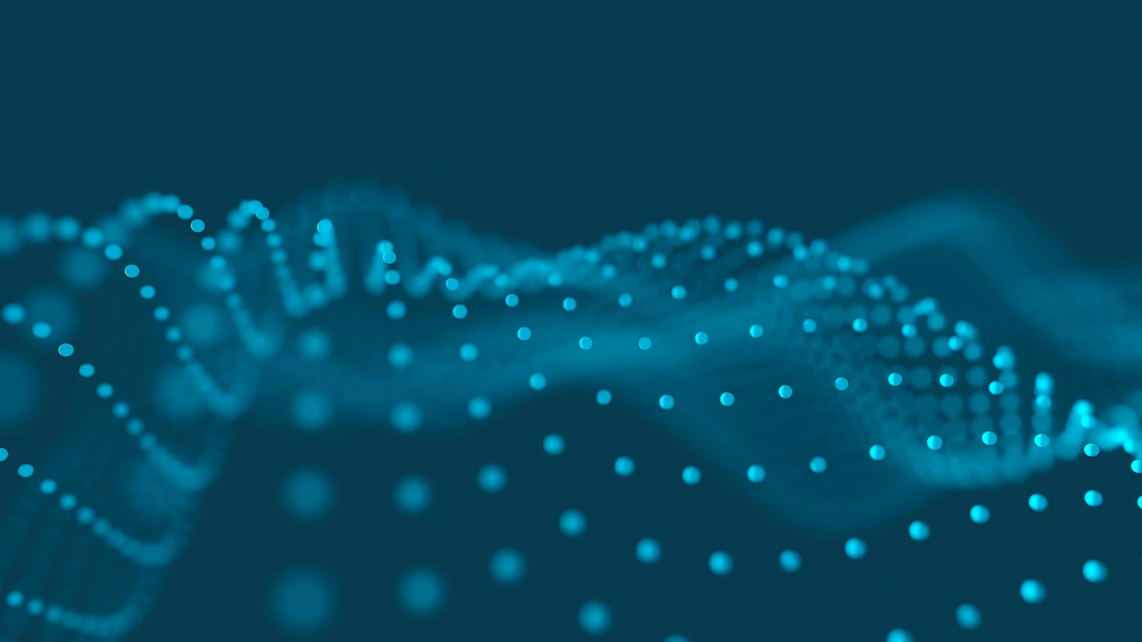 Digital Transformation on a Small Malaysian Budget