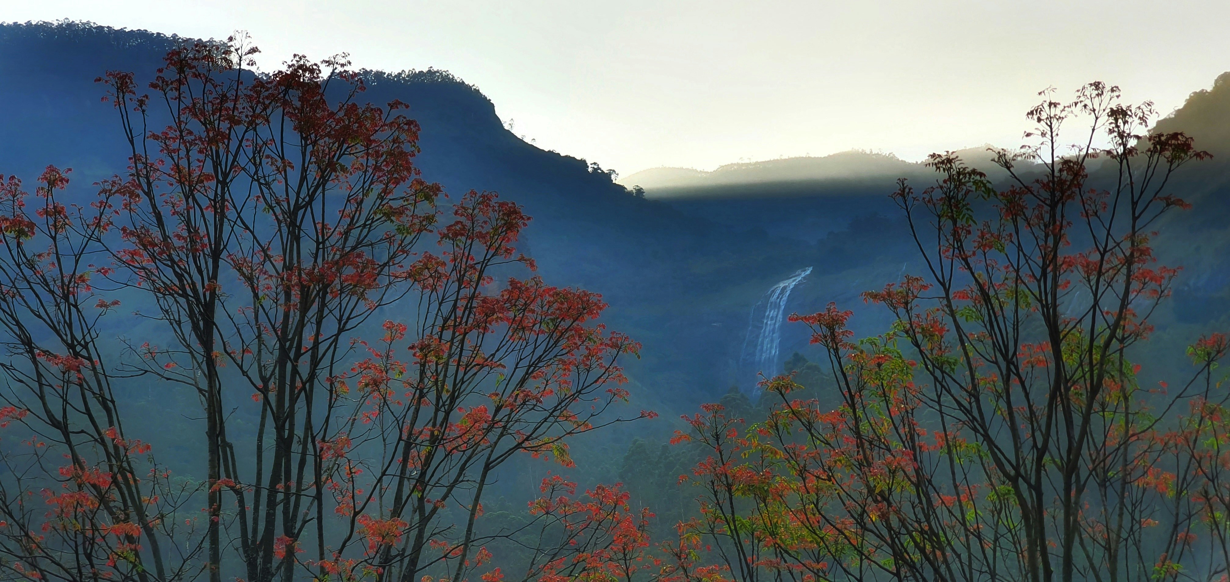 Photo by pavilionphotography