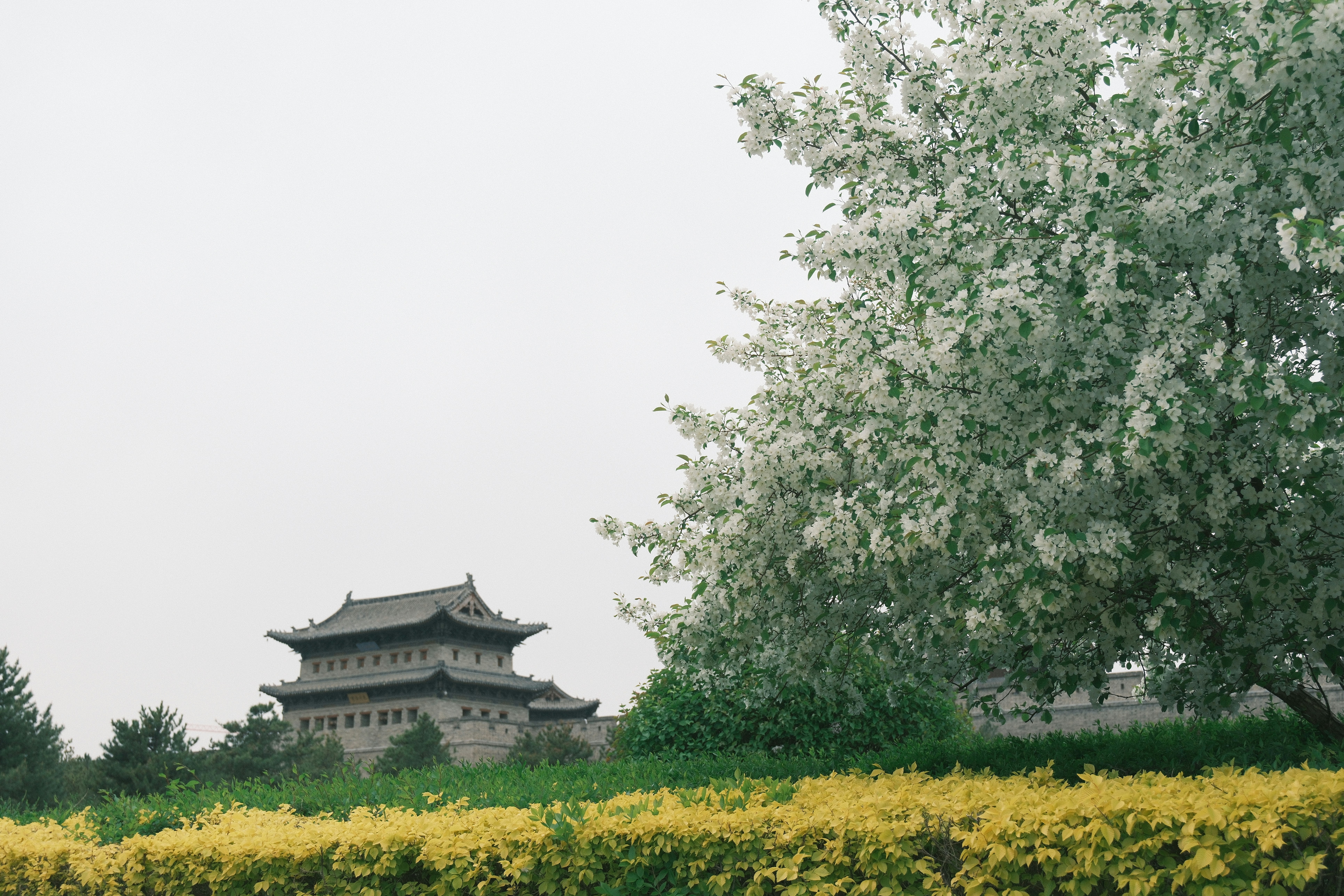 Photo by zhanwangpan