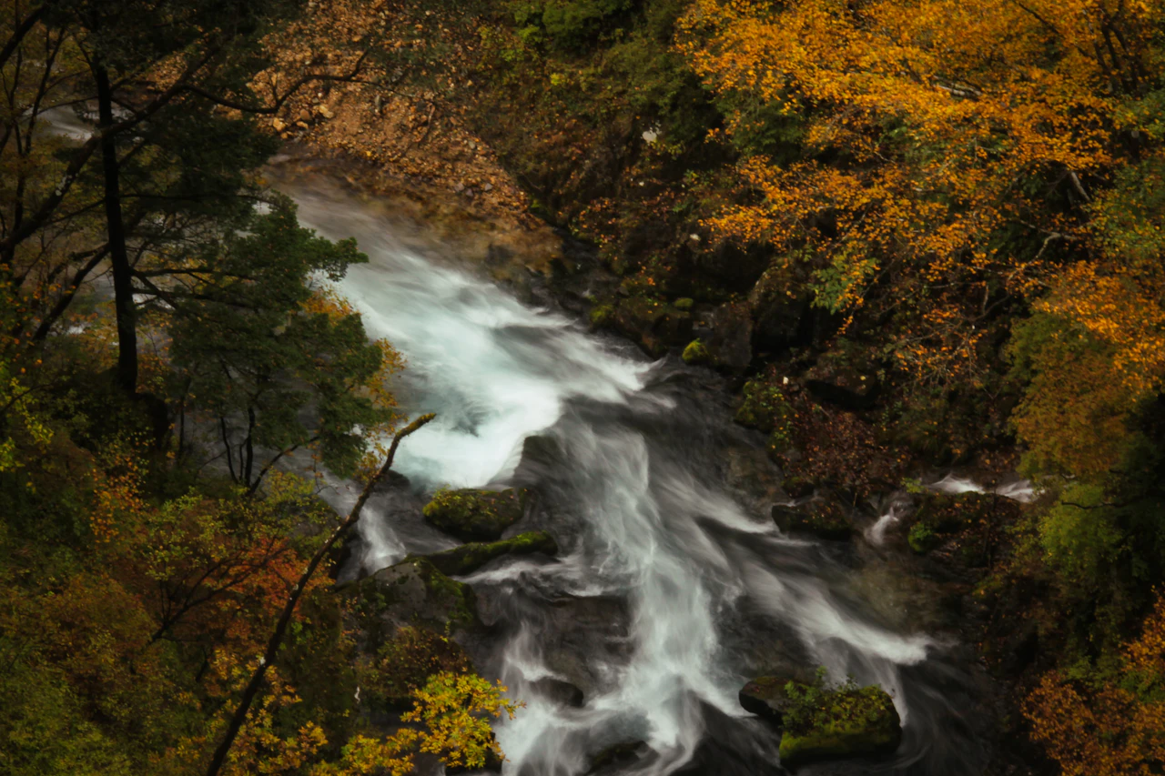 Waterfall cascading through a colourful autumn forest in Nikko, Tochigi