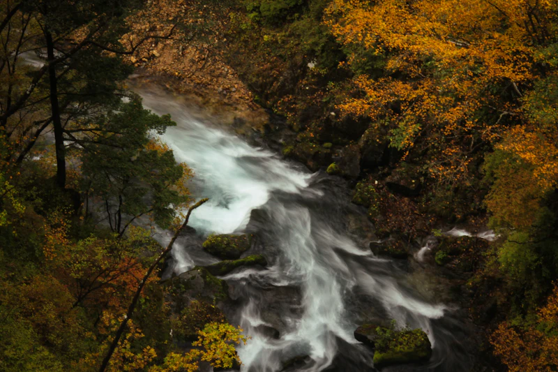 Takachiho Gorge: Miyazaki's Mythical Natural Wonder