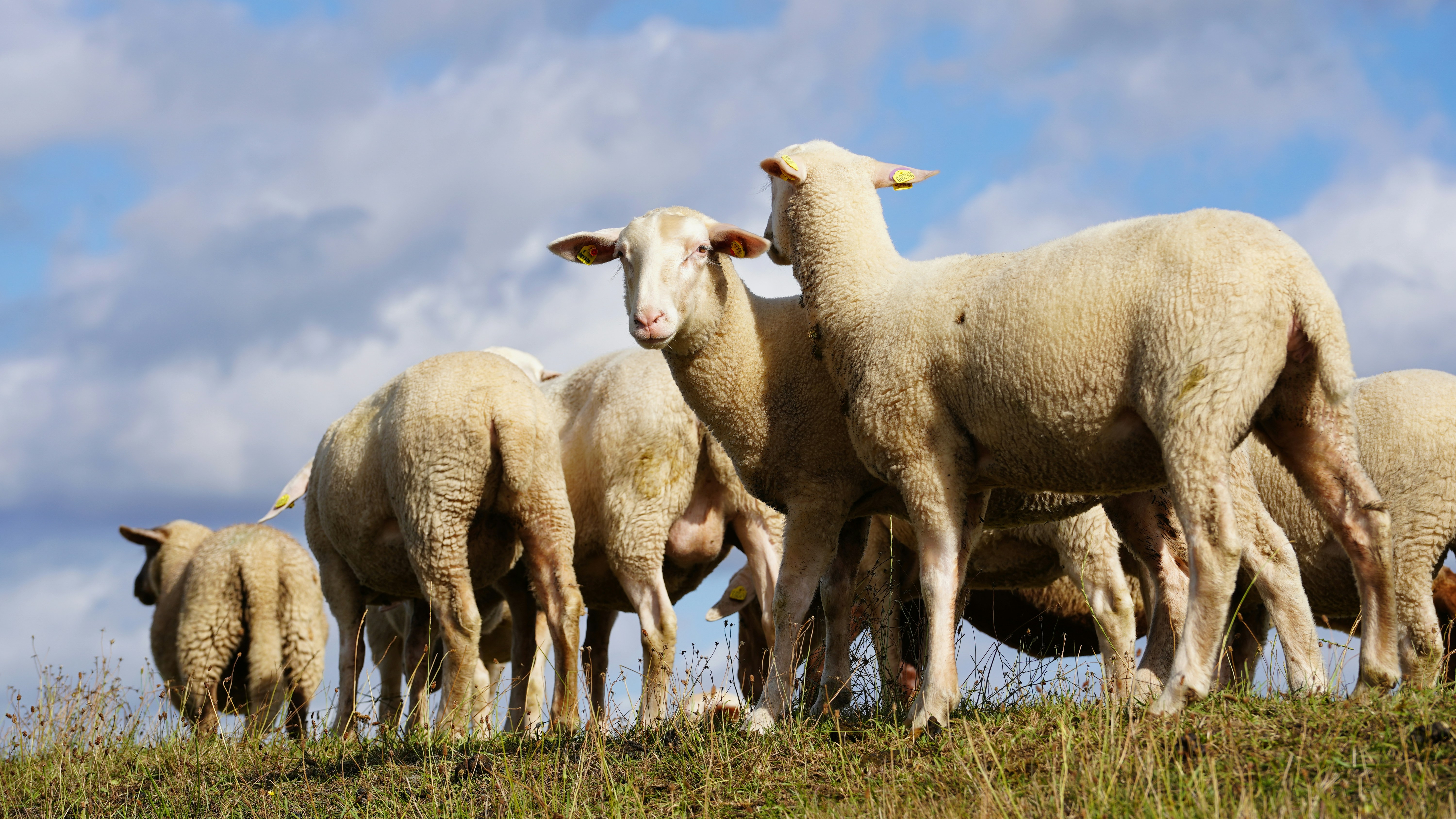 Photo by hamburgmeinefreundin