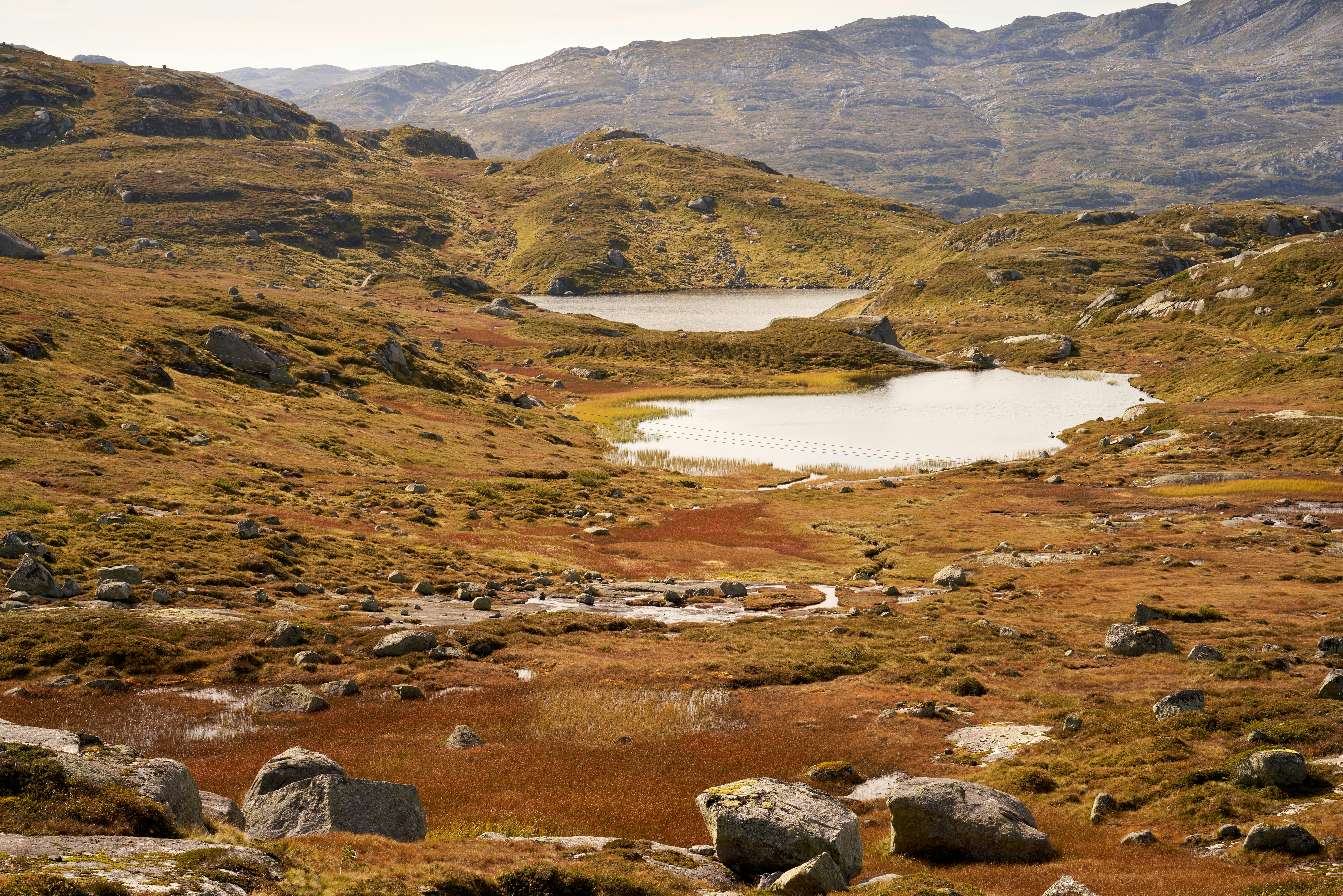 Photo by davotibarna