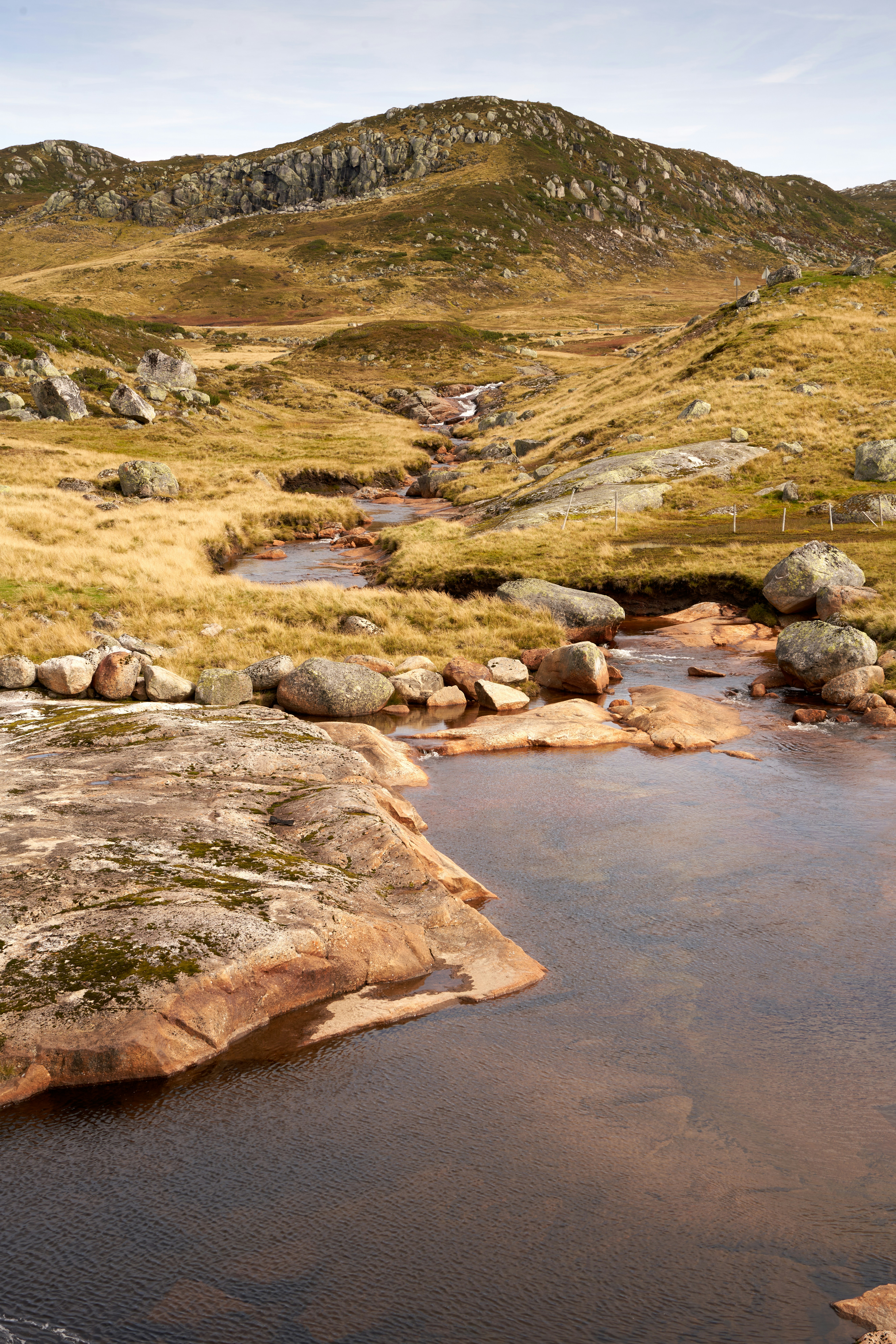 Photo by davotibarna