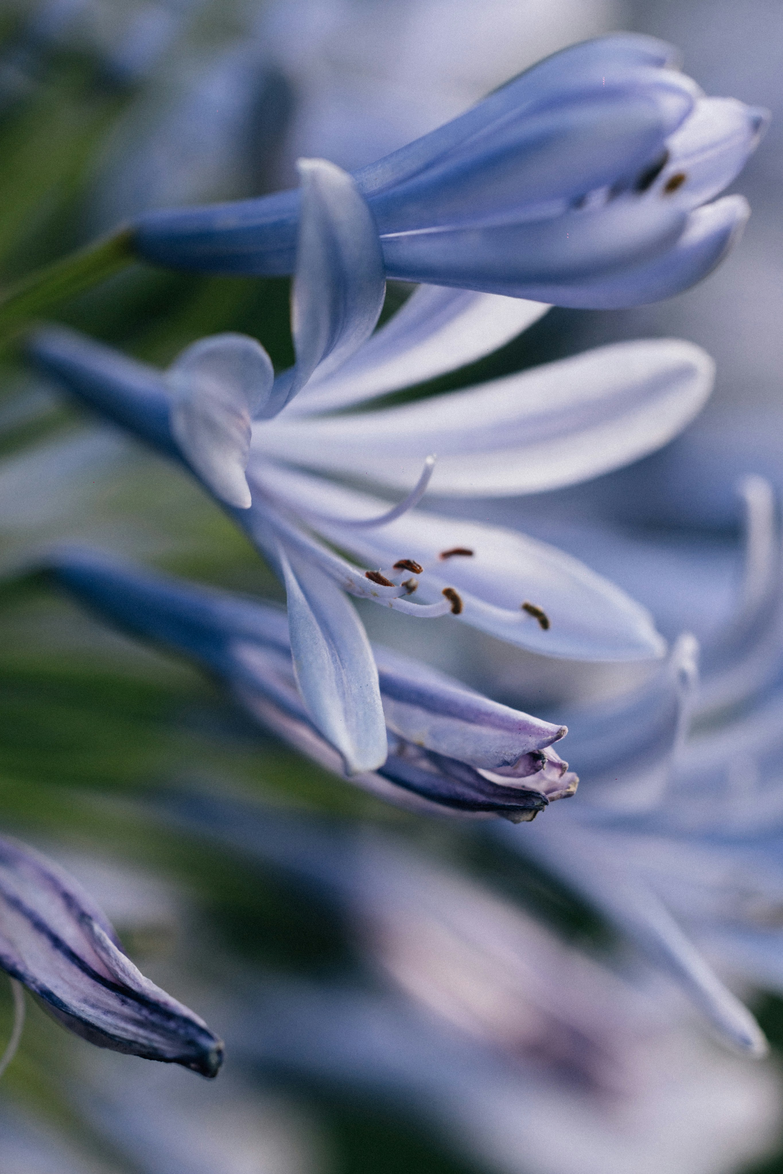 Photo by tsuyoshikozu