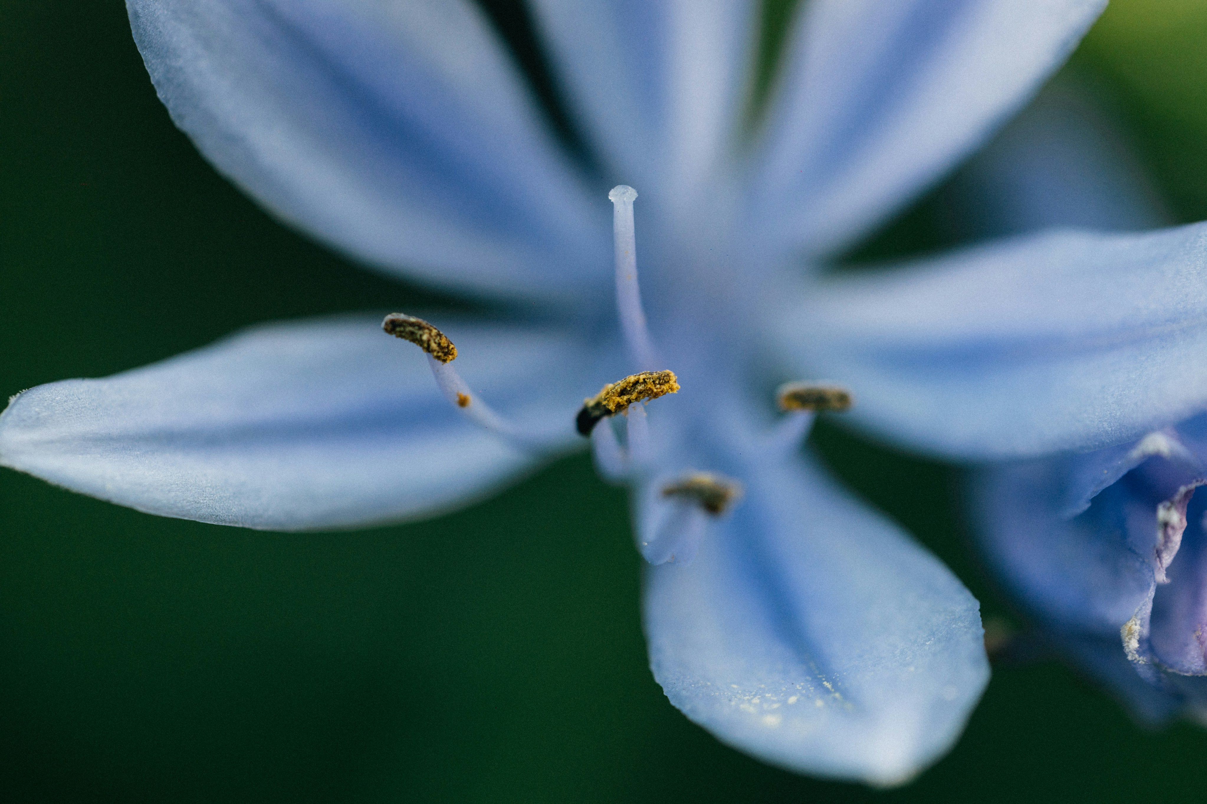 Photo by tsuyoshikozu