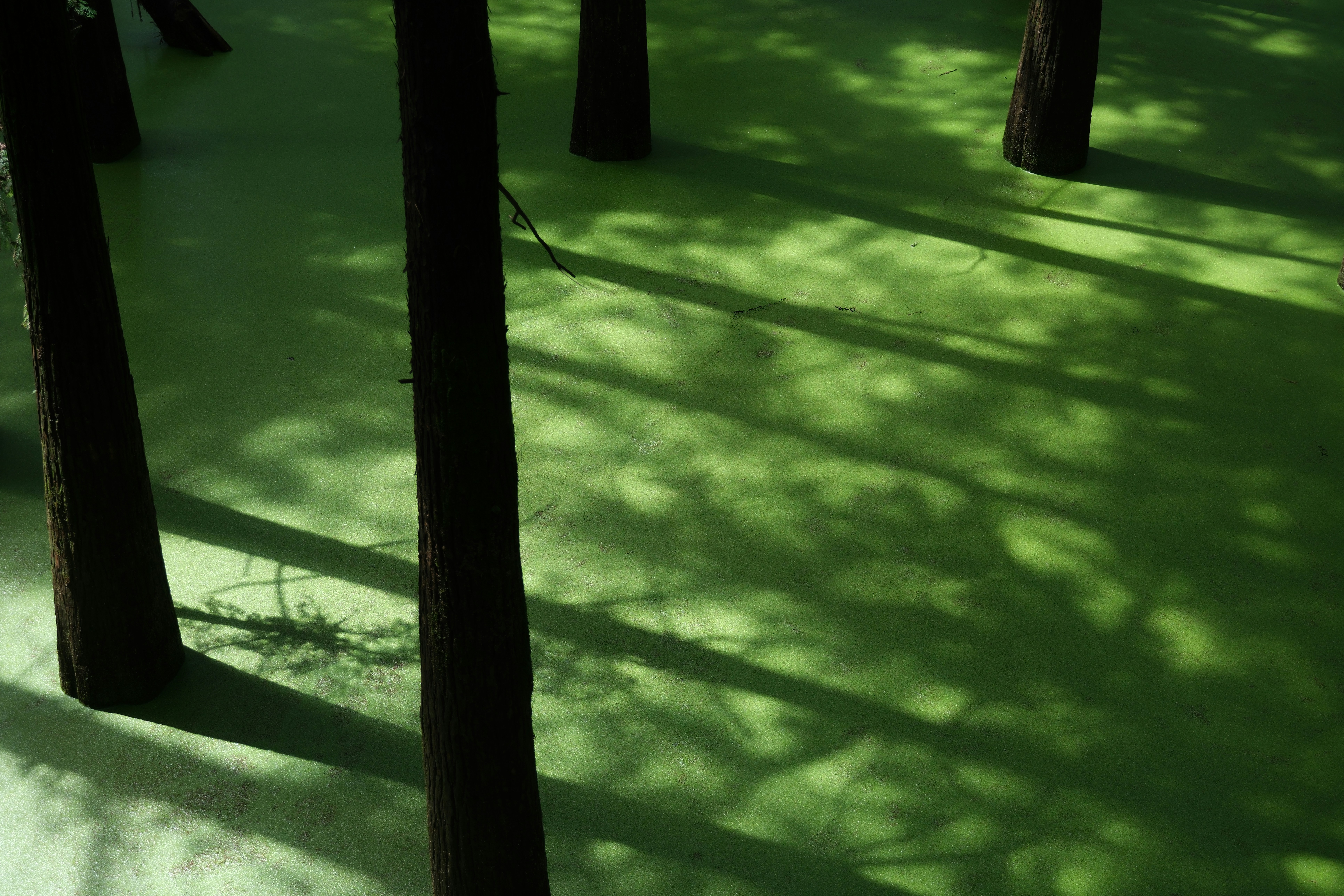 Photo by zhanwangpan