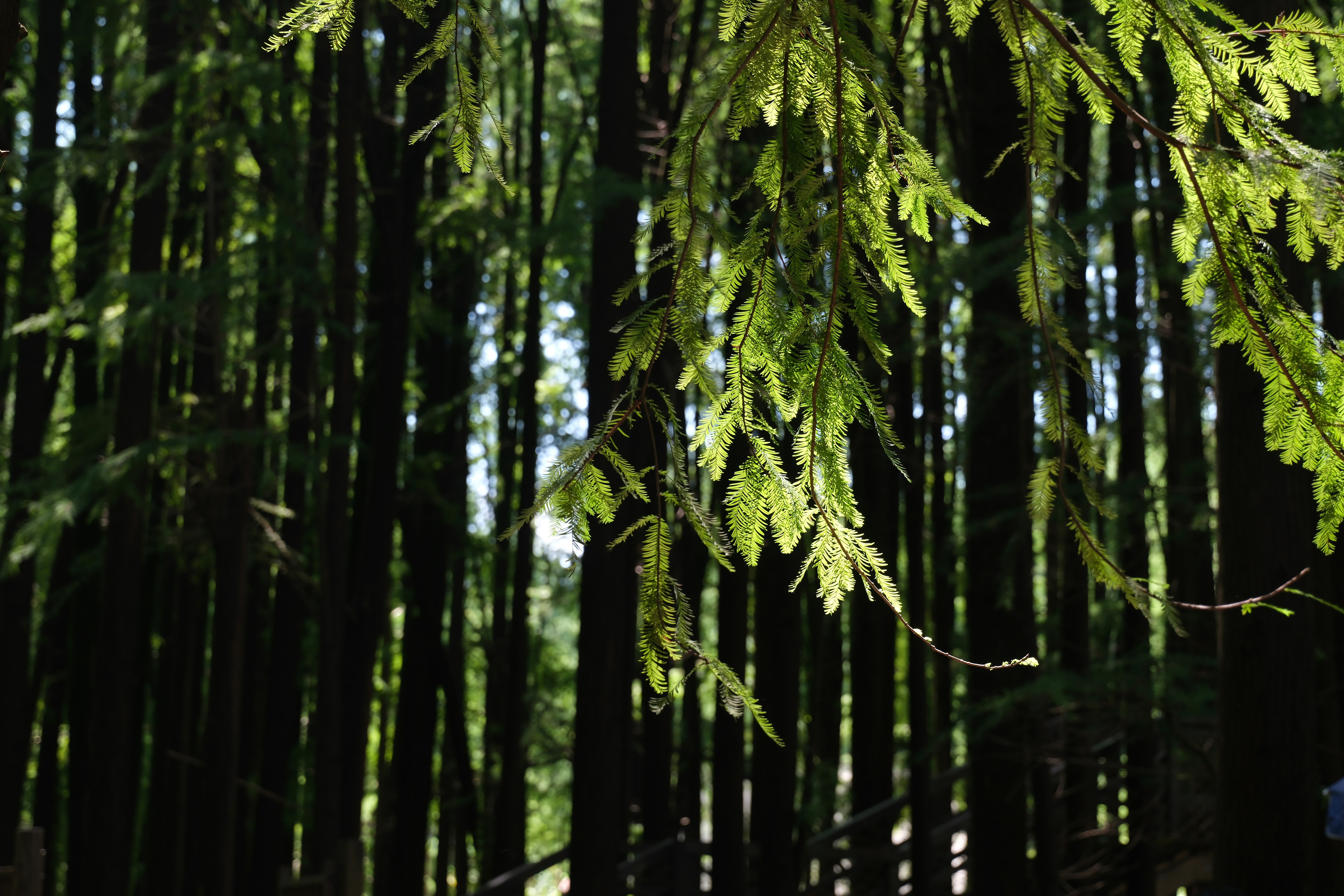 Photo by zhanwangpan