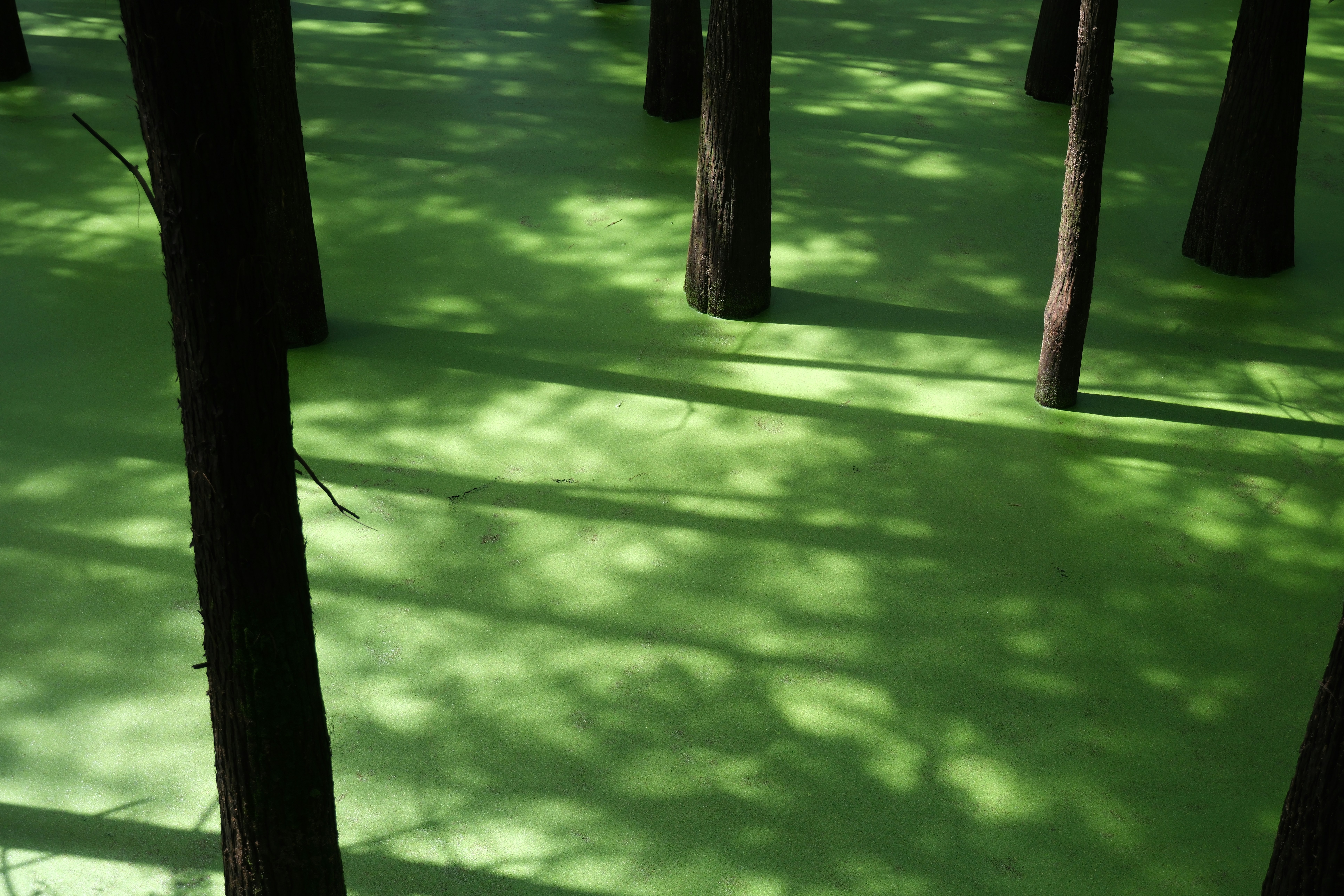 Photo by zhanwangpan