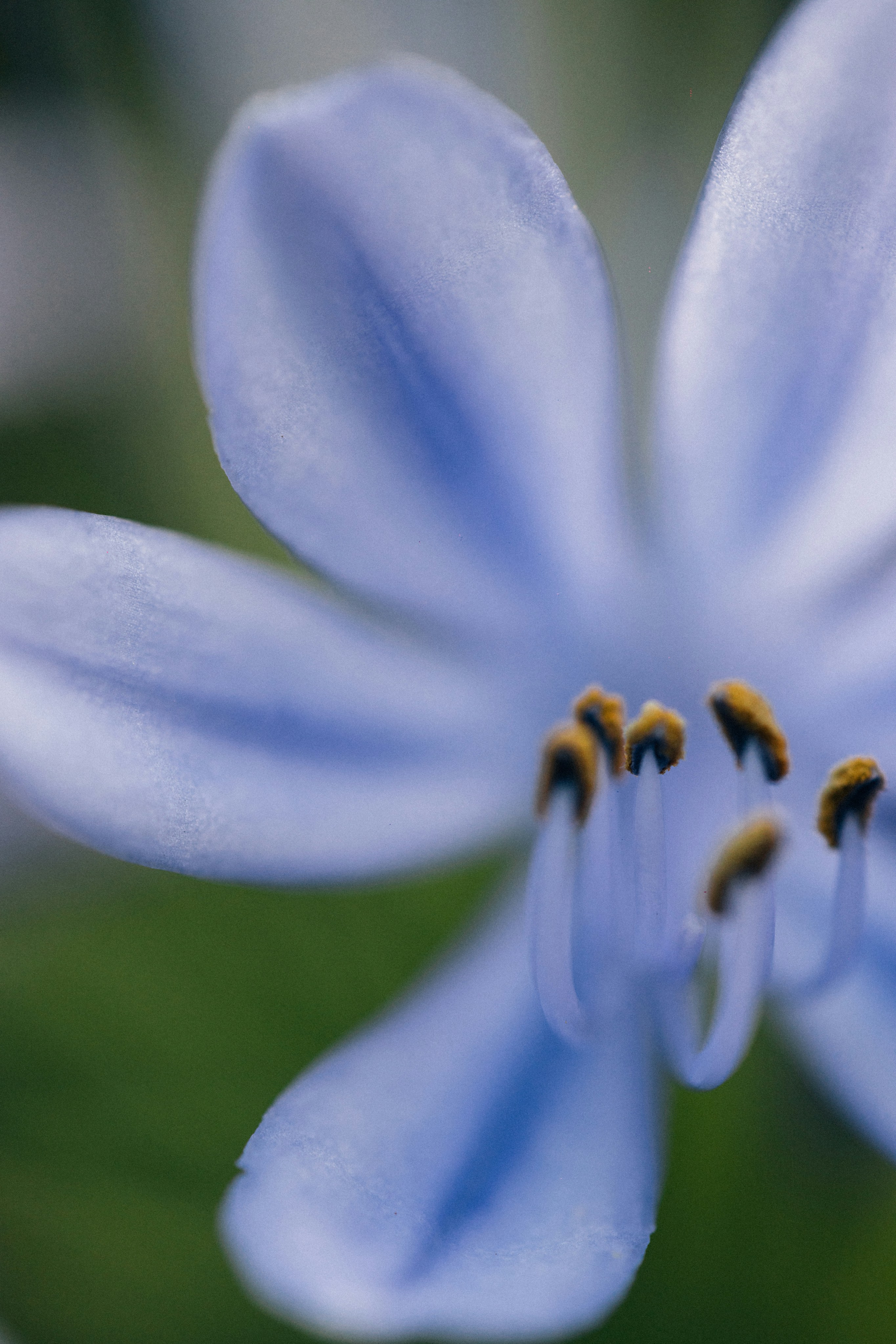 Photo by tsuyoshikozu