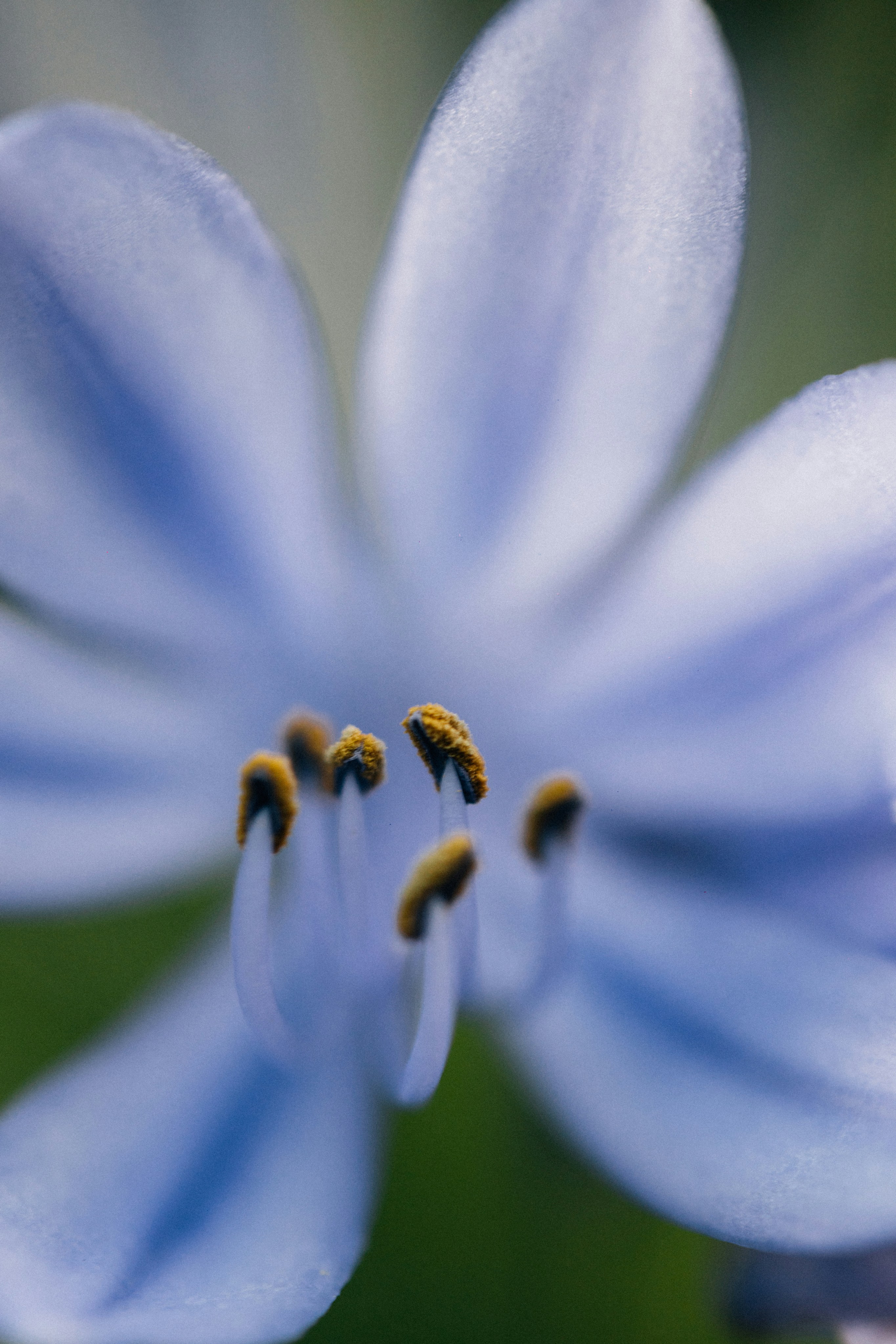 Photo by tsuyoshikozu