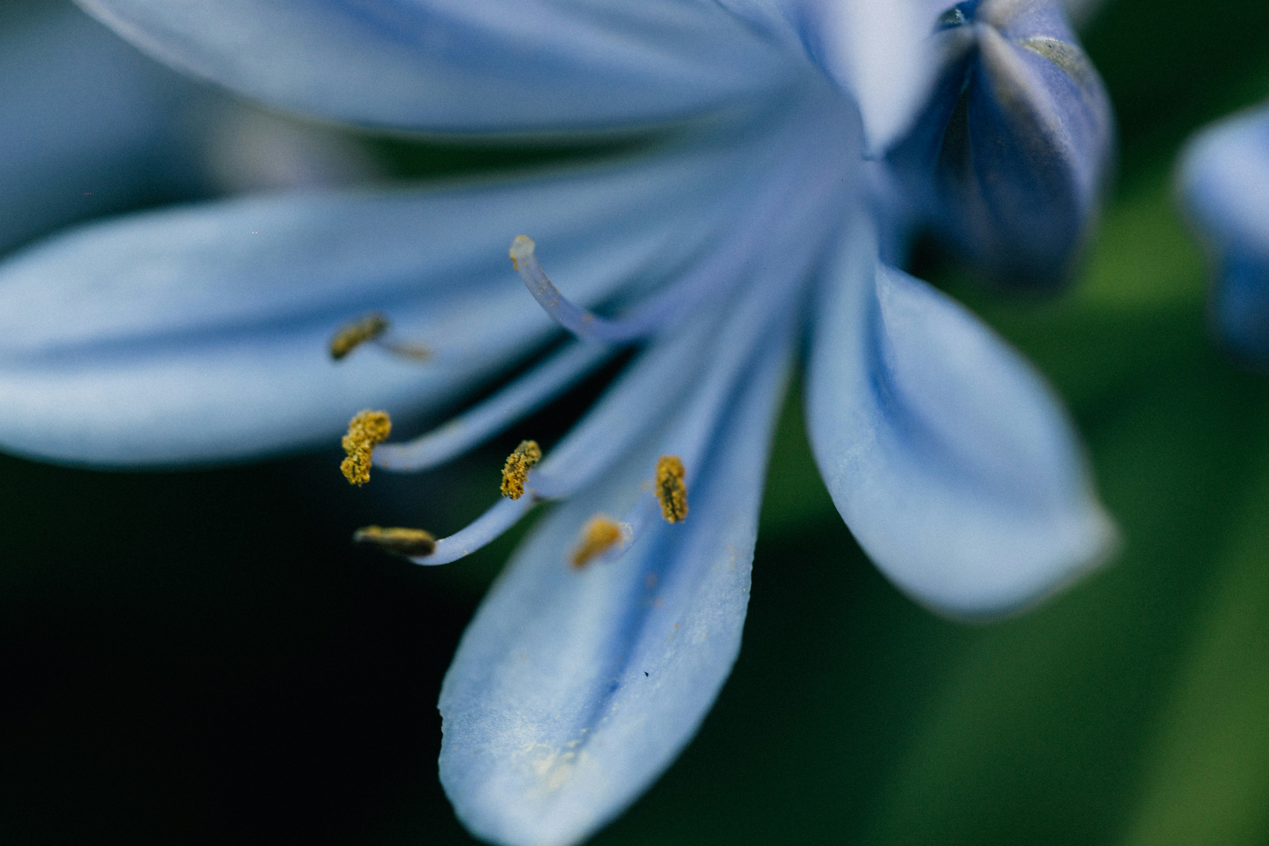 Photo by tsuyoshikozu