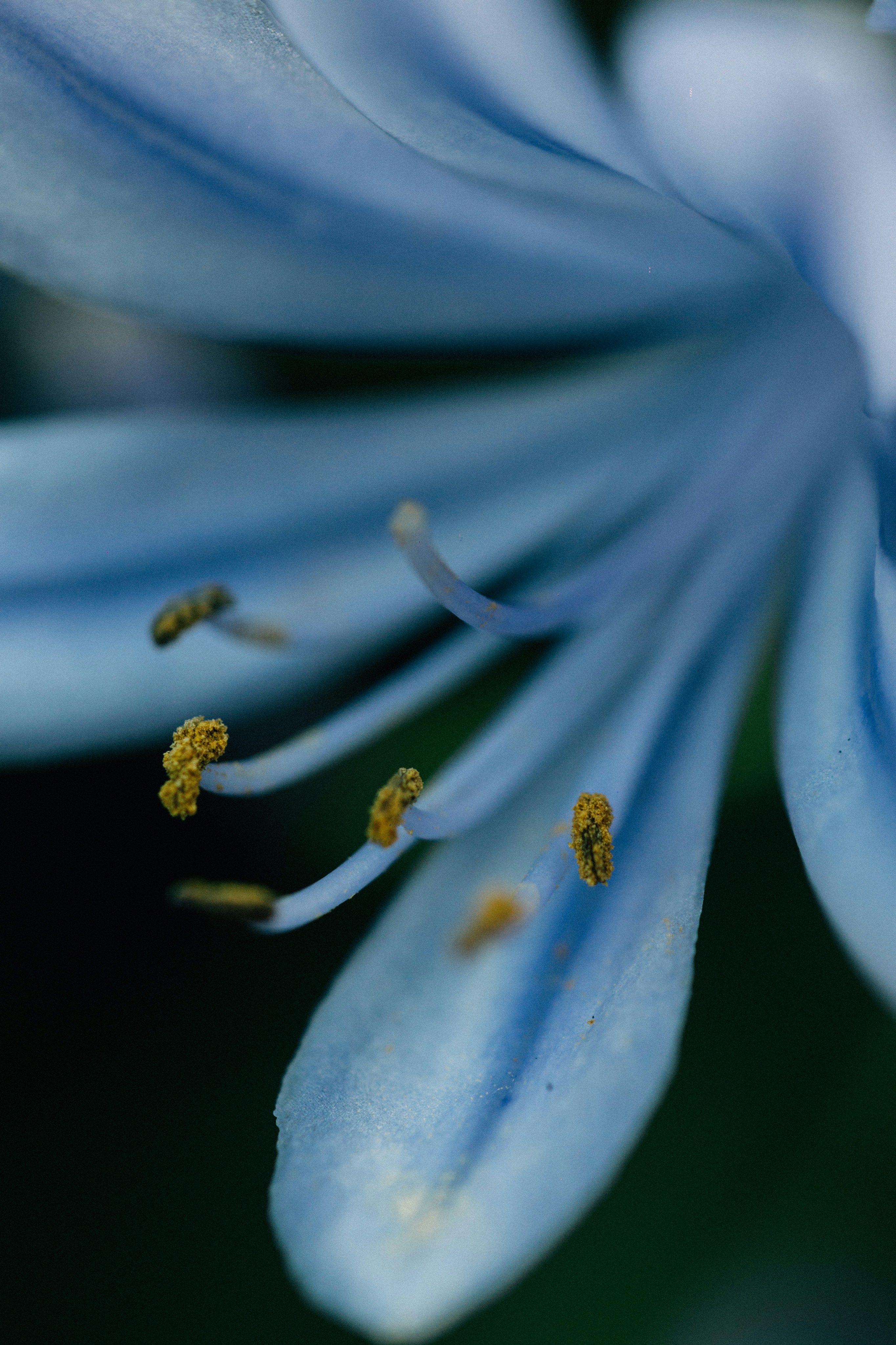 Photo by tsuyoshikozu