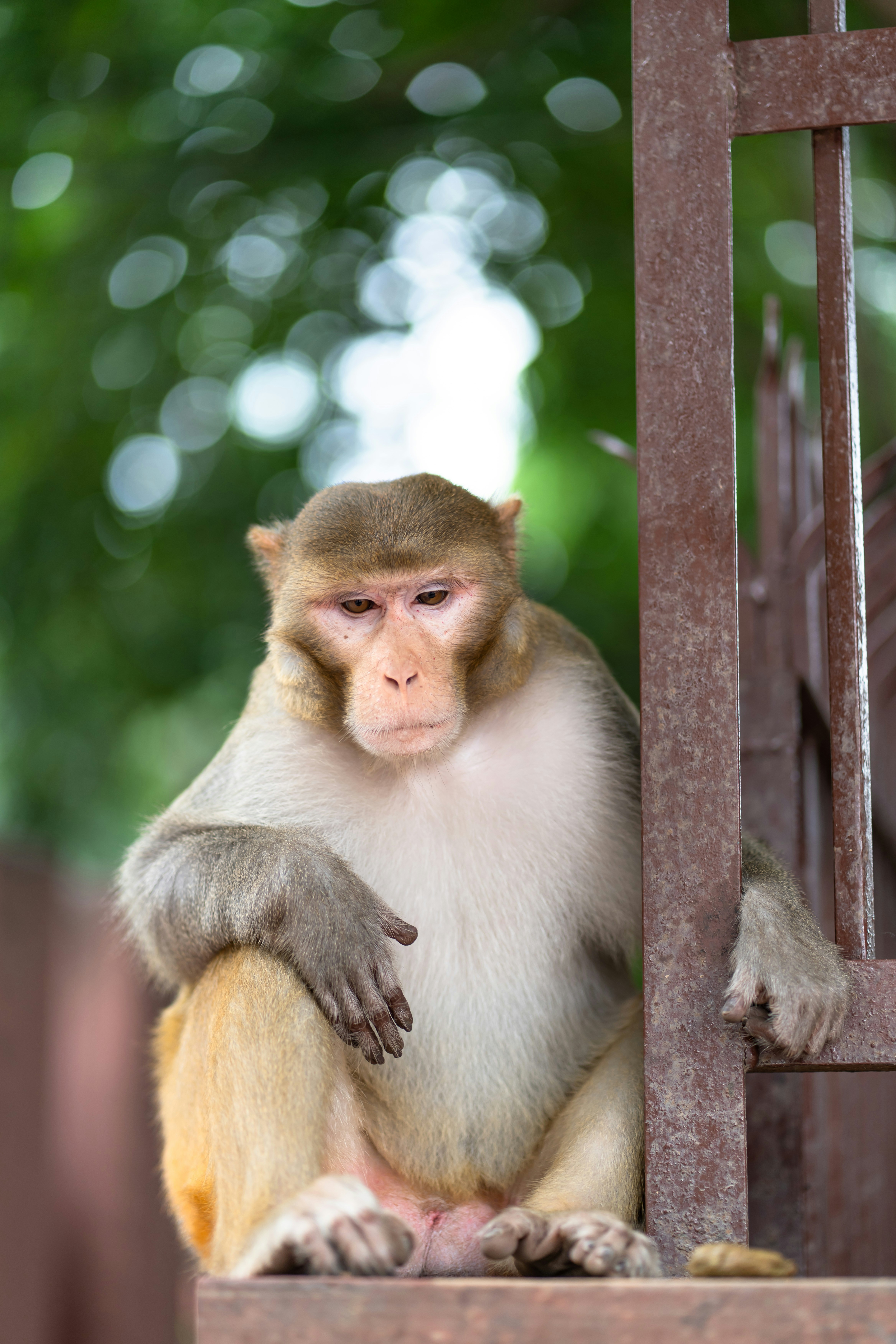 Photo by anil_sharma_india