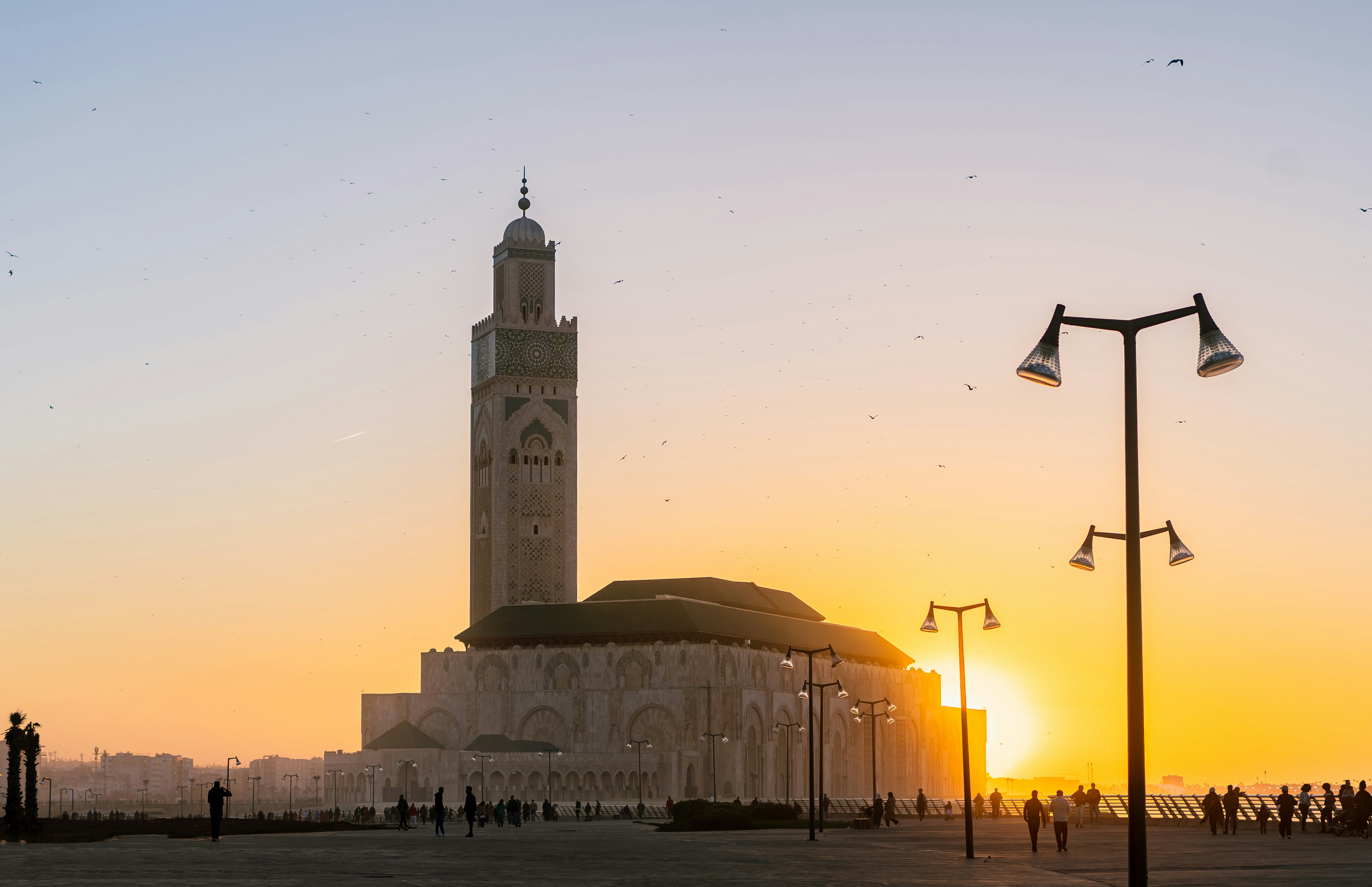 The Hassan II Mosque in Casablanca illuminated at dusk, with its towering minaret reflecting in the water.