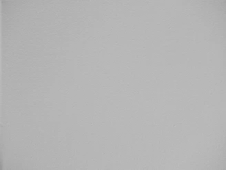 A plain, solid gray background