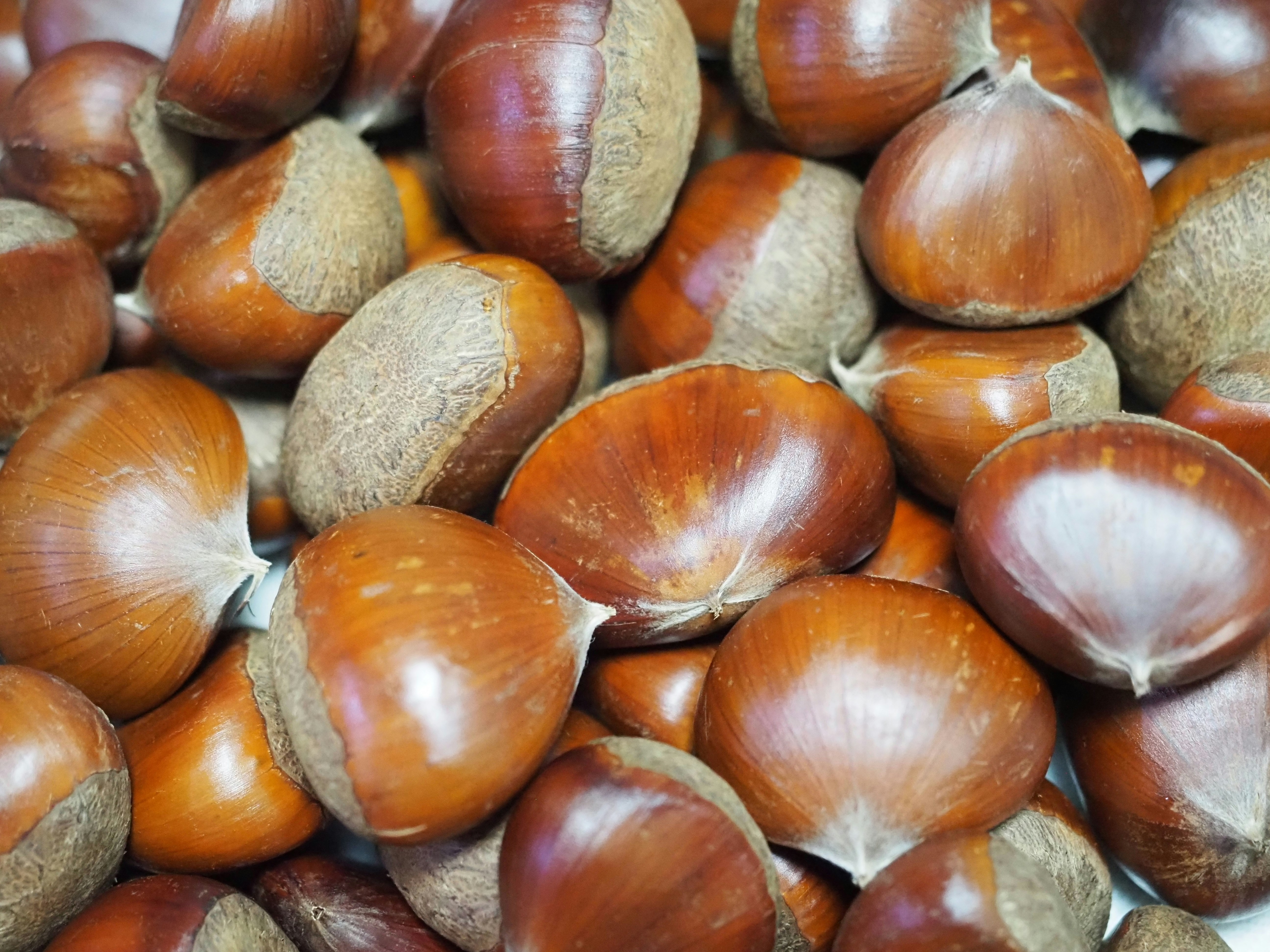 A pile of fresh, brown chestnuts