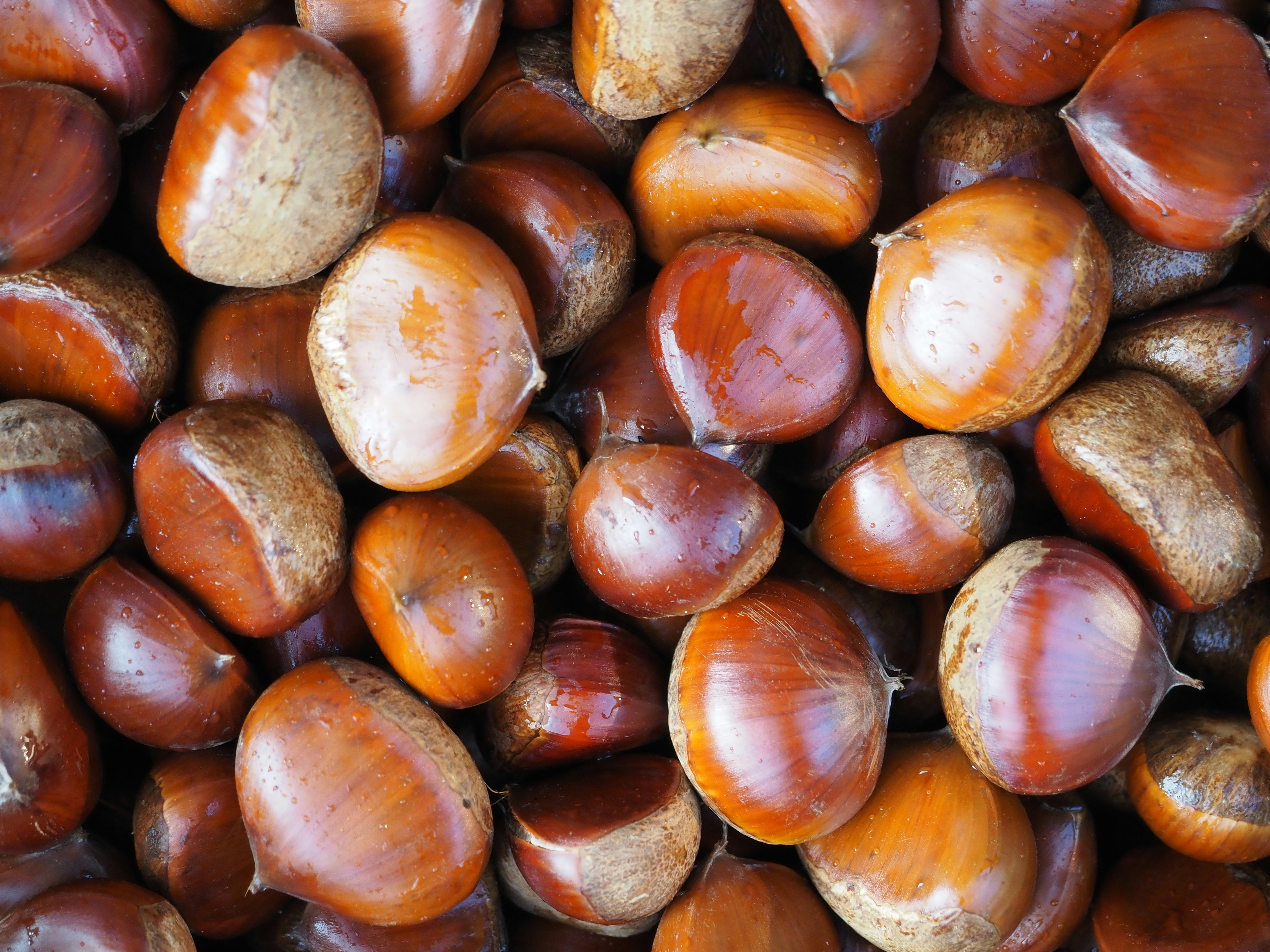 A pile of fresh chestnuts close up