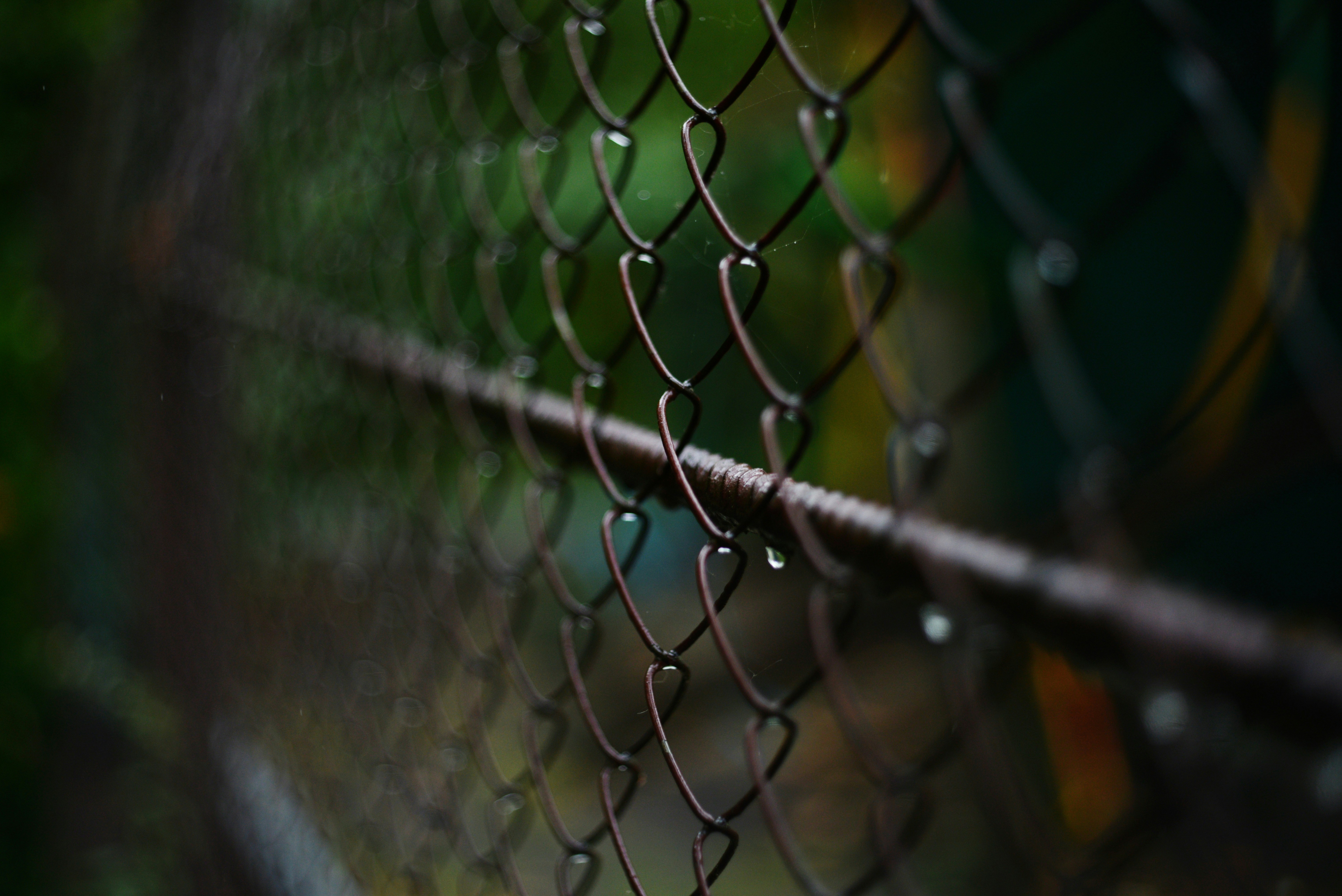 Photo by cherstve_pechivo