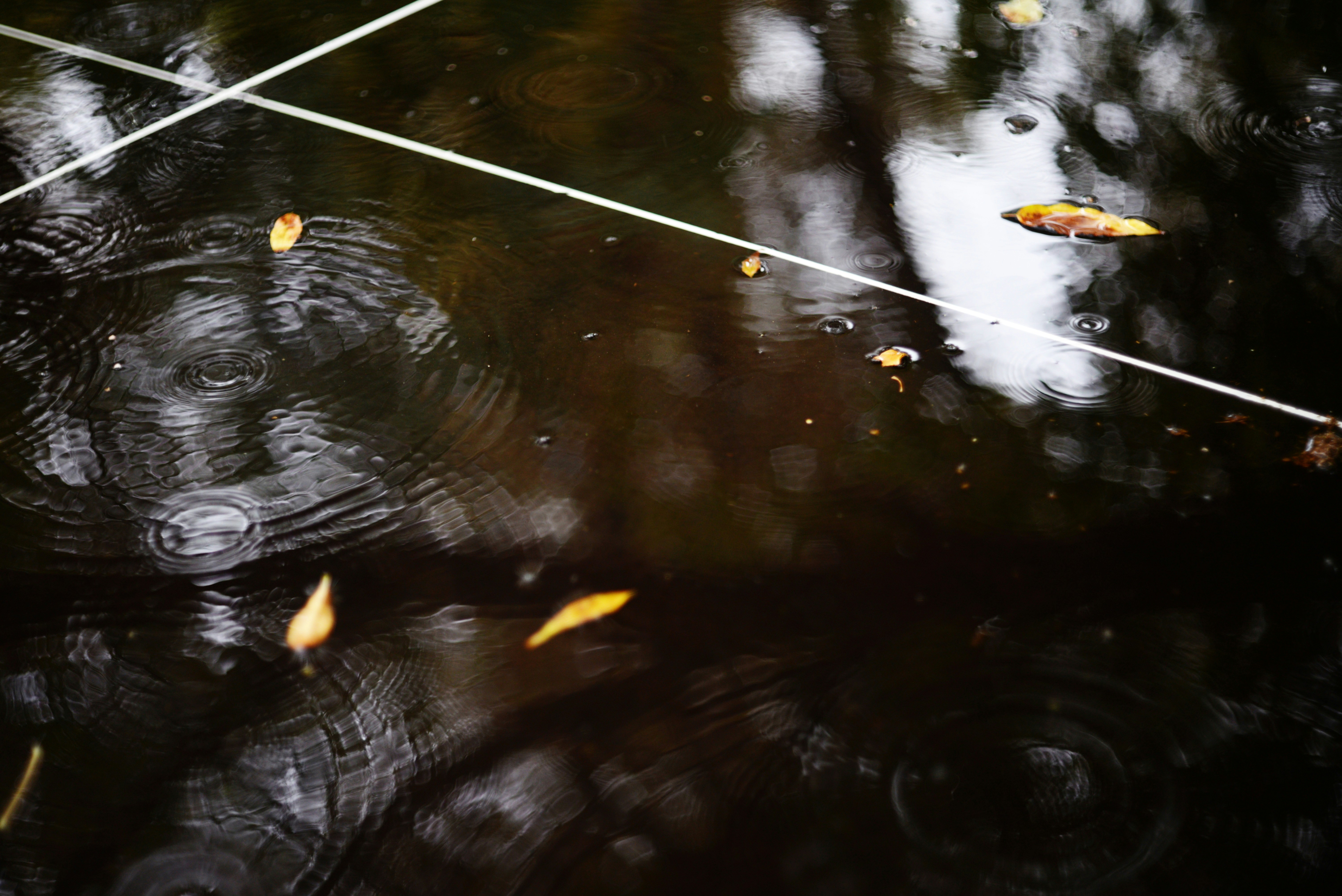 Photo by cherstve_pechivo